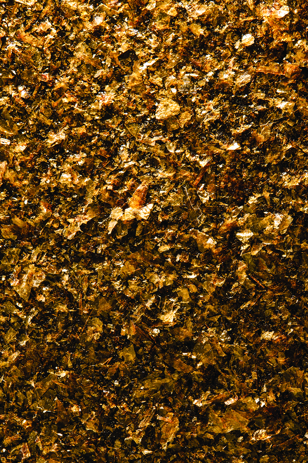 PHOTOGRAPHY RAF STUDIO OF MUTATIONS EXHIBITION AT MAD PARIS