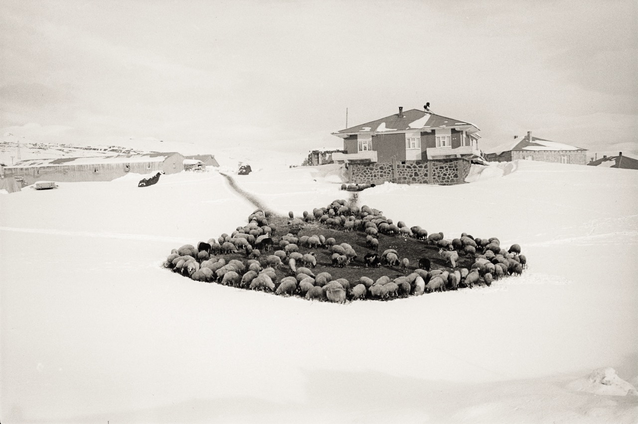 LEVANT©Matthieu Chazal