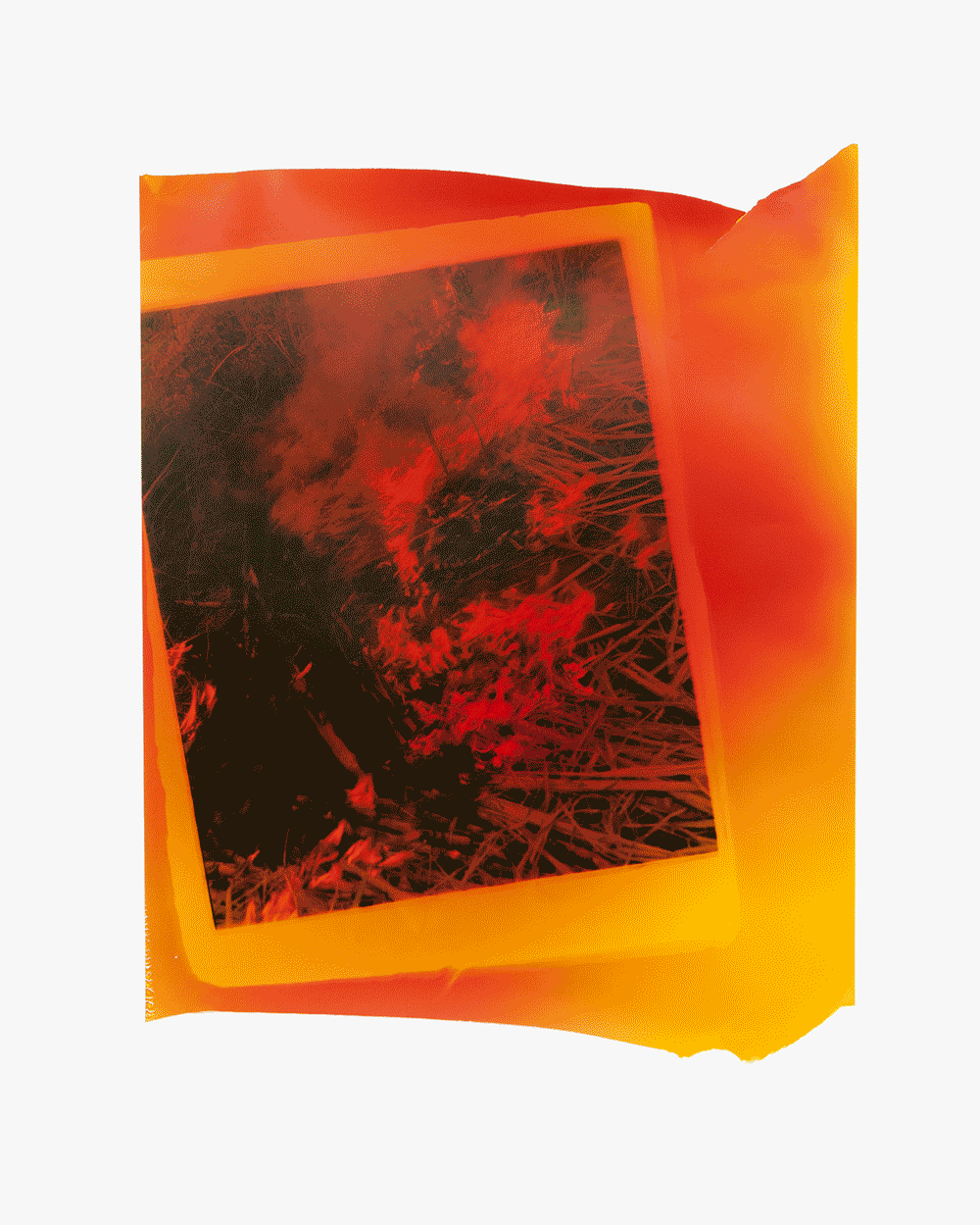 Lea Colombo – FIRE, 2018R 10,500 (Edition of 3)