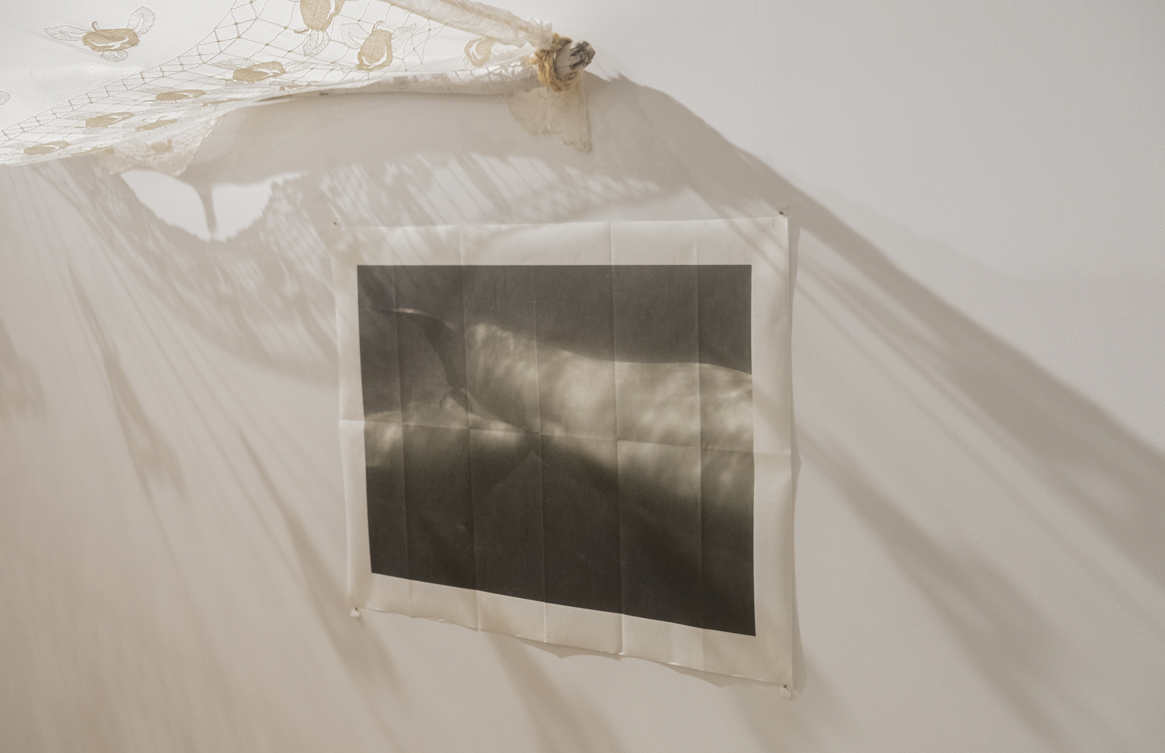 Dans l'œil du béluga, Galerie d’art Louise-et-Reuben-Cohen de l'Université de Moncton, 2025
