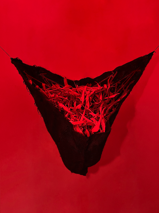 Regurgitar 2024 - Mecate, rope and totomoxtle.