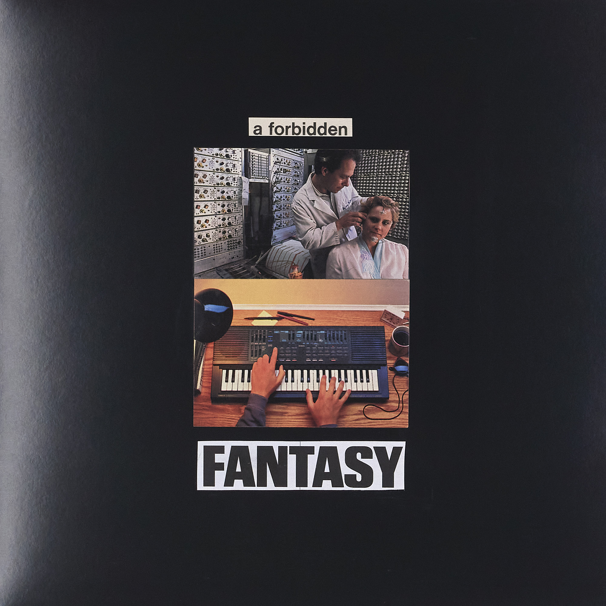 (2024) 12.25" x 12.25"