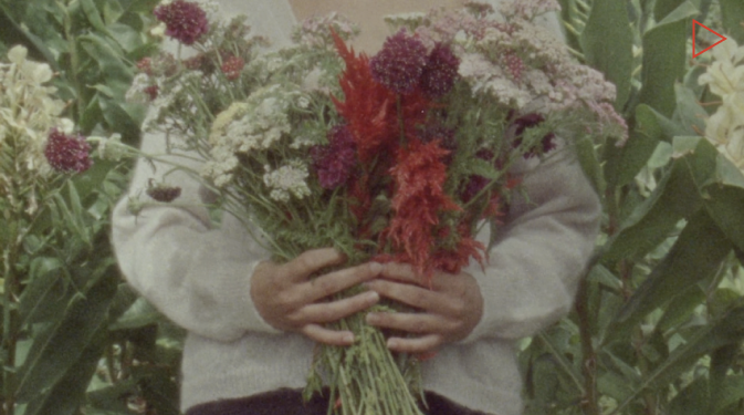 fig. FILM Francie (A Sense of Place, with Kimbra)