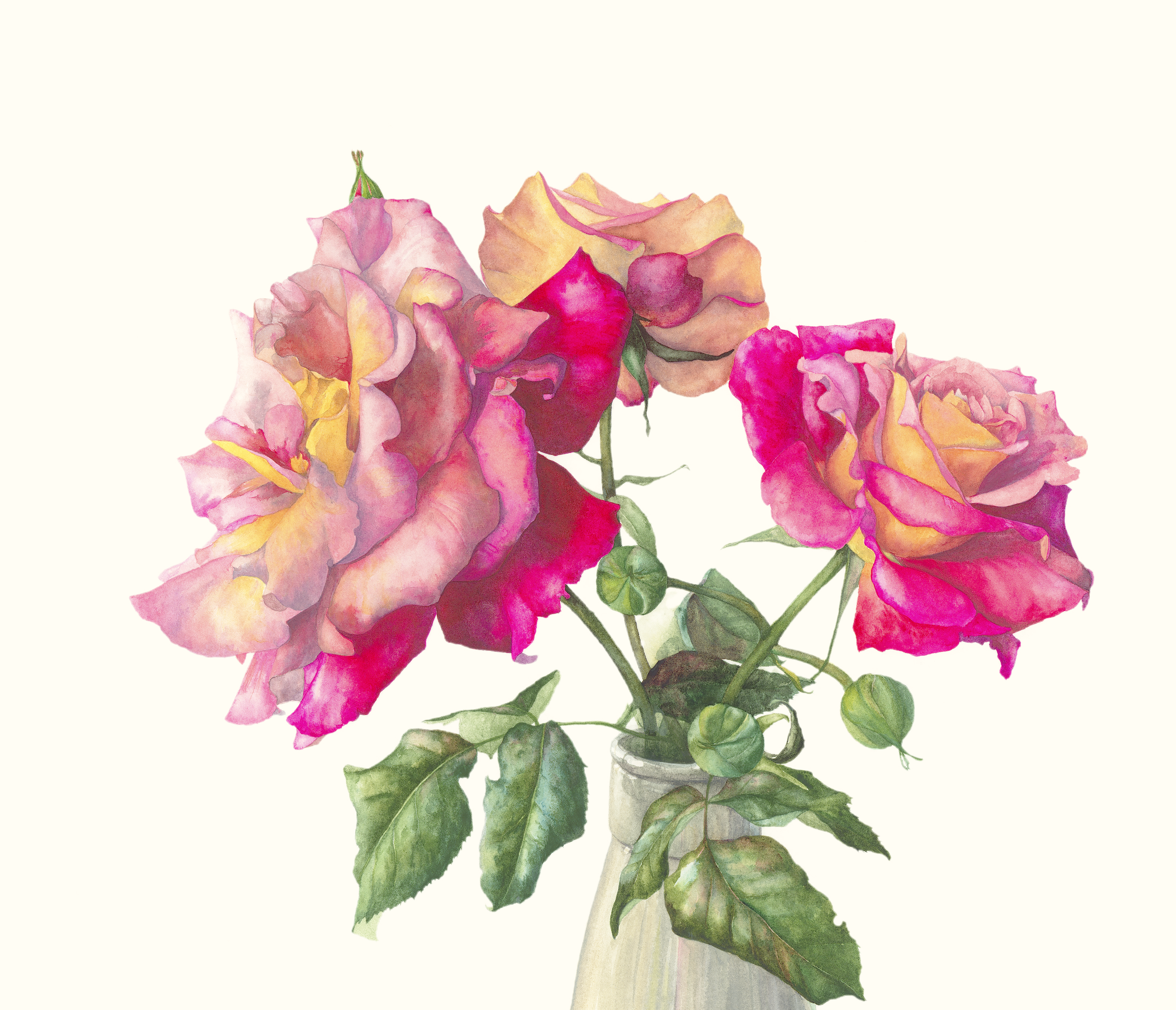 Roses in milk bottle