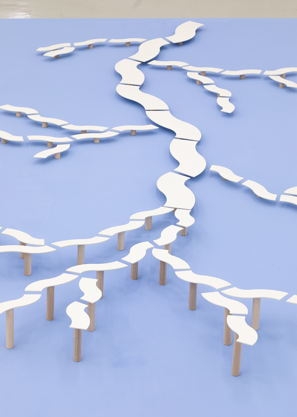 Échelle à faune. Carton. Bois. Hêtre. 300x110x15 cm