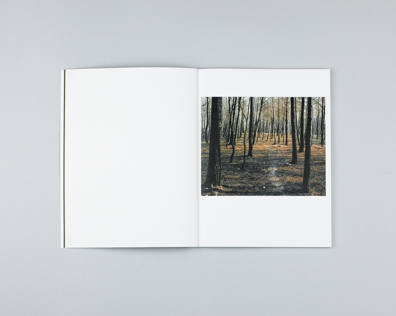 Wildfire, Another Place Press, 2020