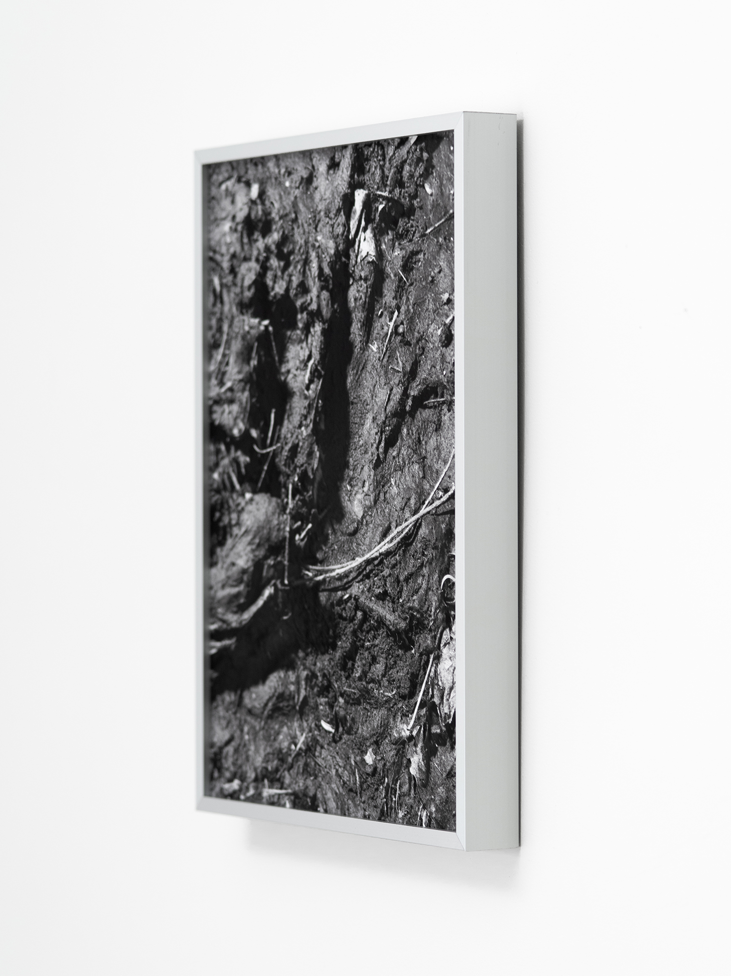 "Mud" 2024. Archival pigment print. Aluminum frame. 34 x 26 cm
