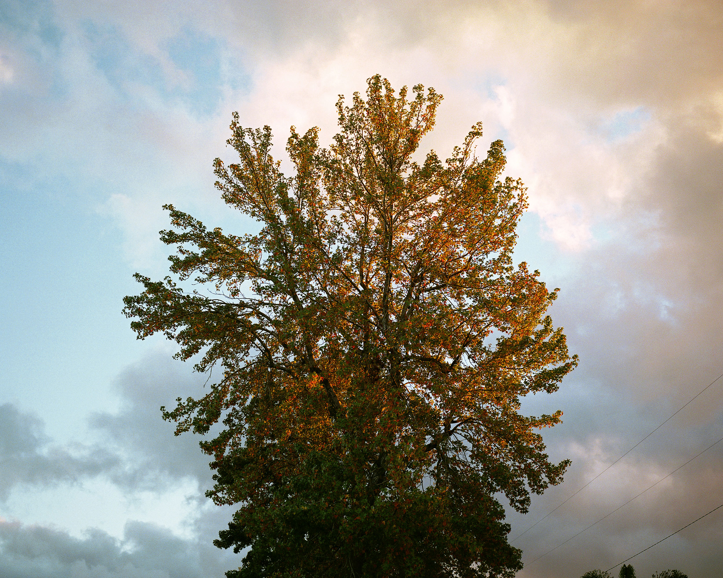 North Hollywood Glow, CA, 2015