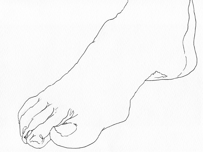 Malle des pieds marins