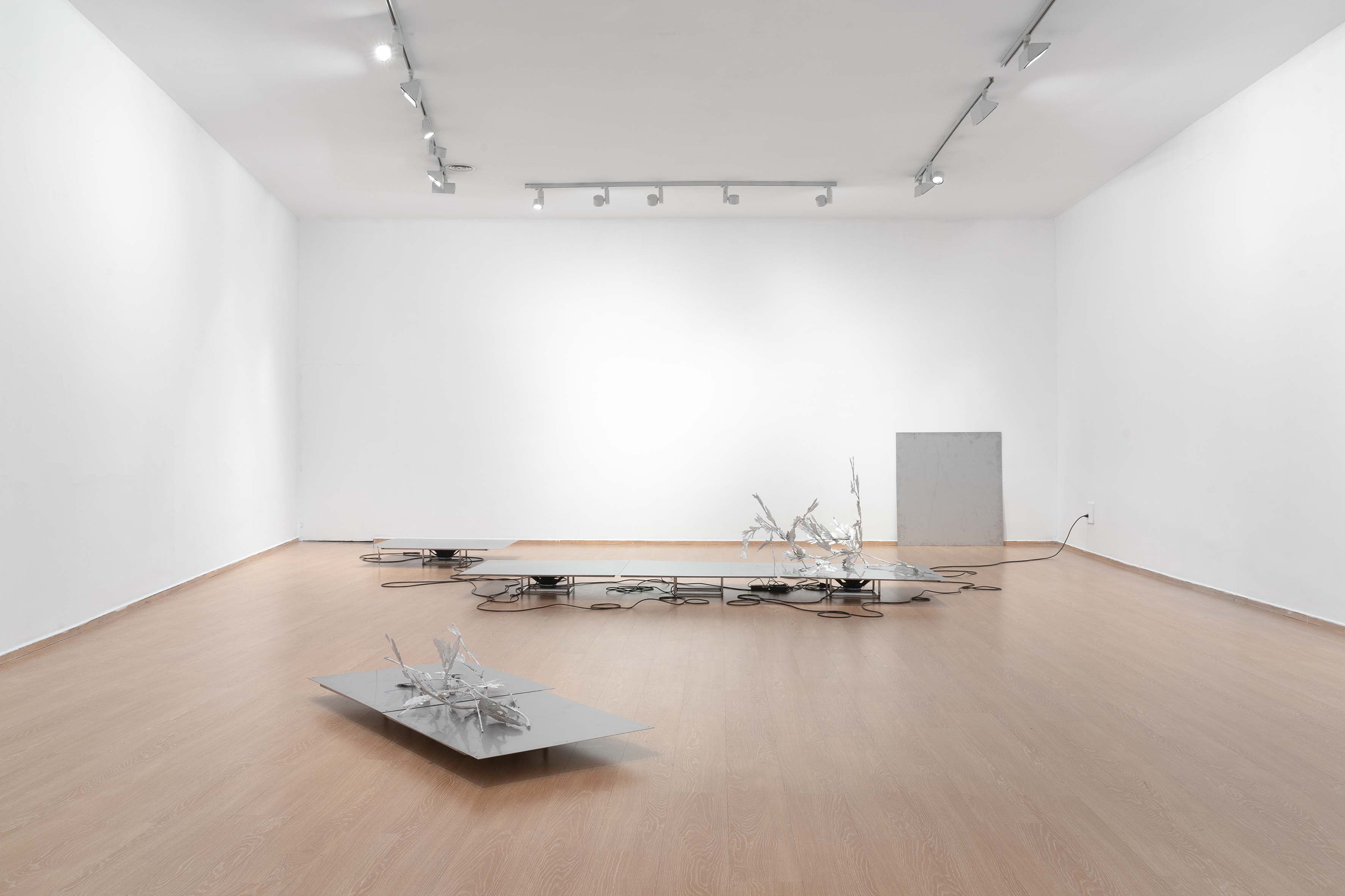 UN ECO DE UN ECO, DE UN ECO by TIMSAM HARDING at PALACIO DE LOS CONDES DE GABIA curated by MARIANO MAYER [from 20240620 to 20240915] [Photo: Eduardo Rodríguez Barranco]