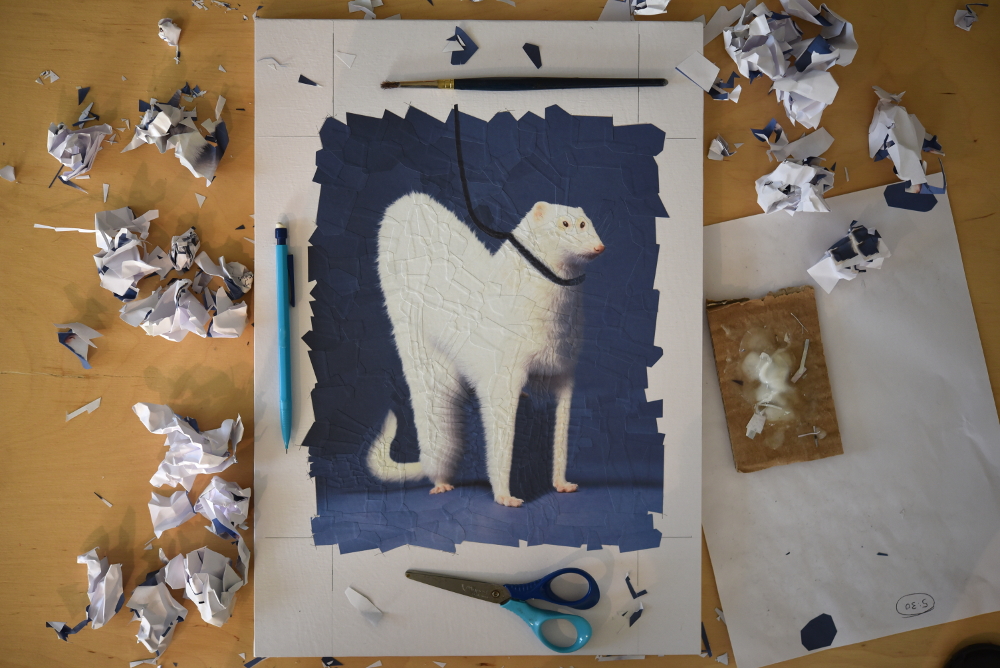 Freedom is owning a pet ferret With The California Sunday Magazine and Leo Jung