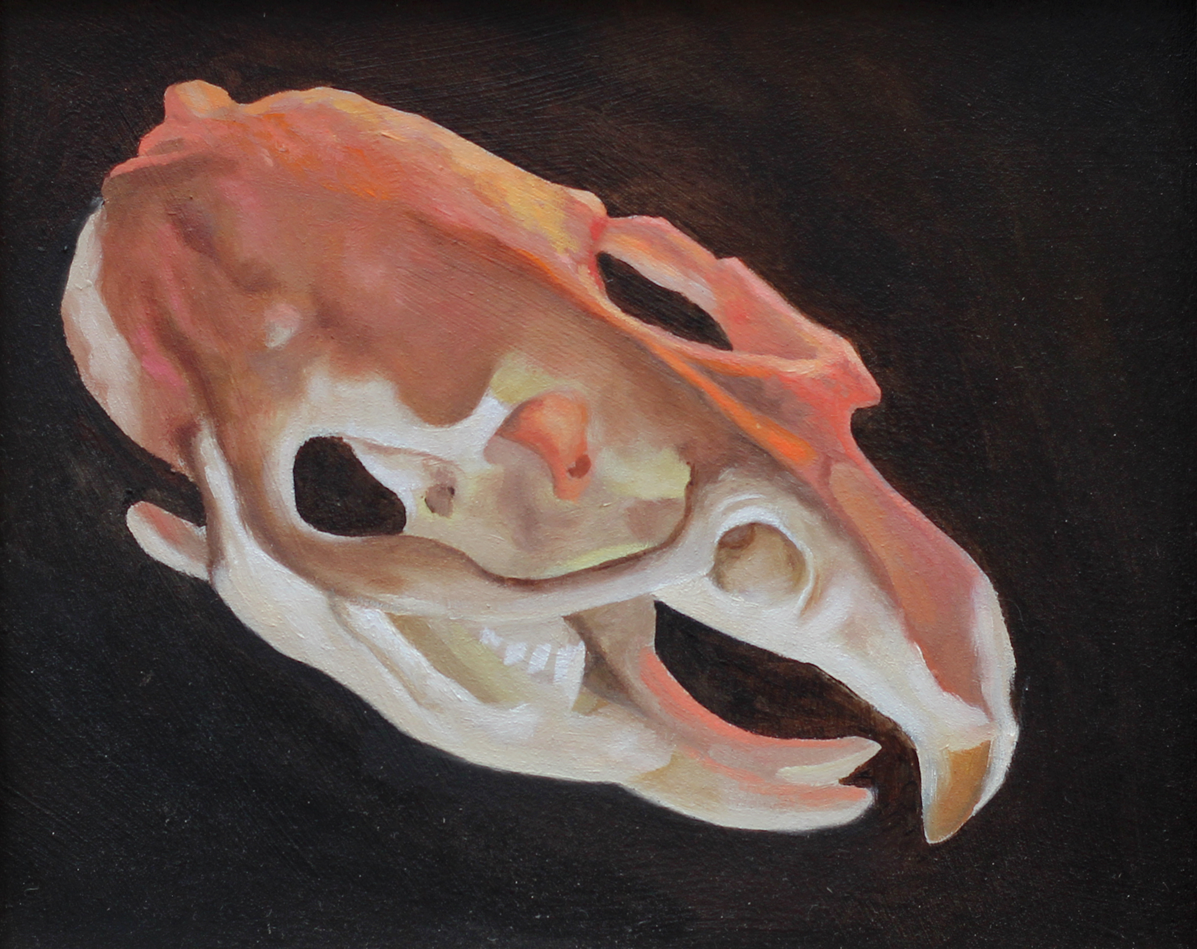 Color Skull 3, 5”x7", Oil and Enamel on Masonite