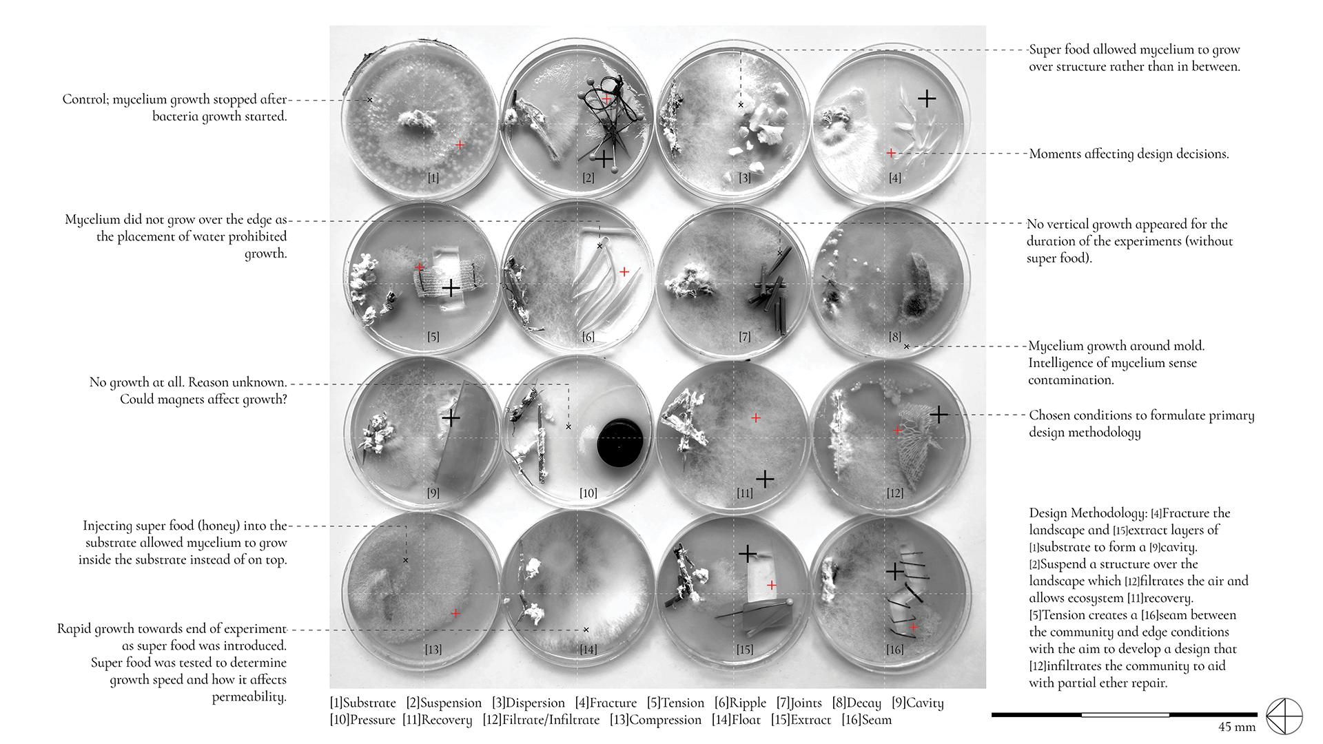 Mycelium Design Methodology and Testing Viljoen, ML. Unit 21. 2022