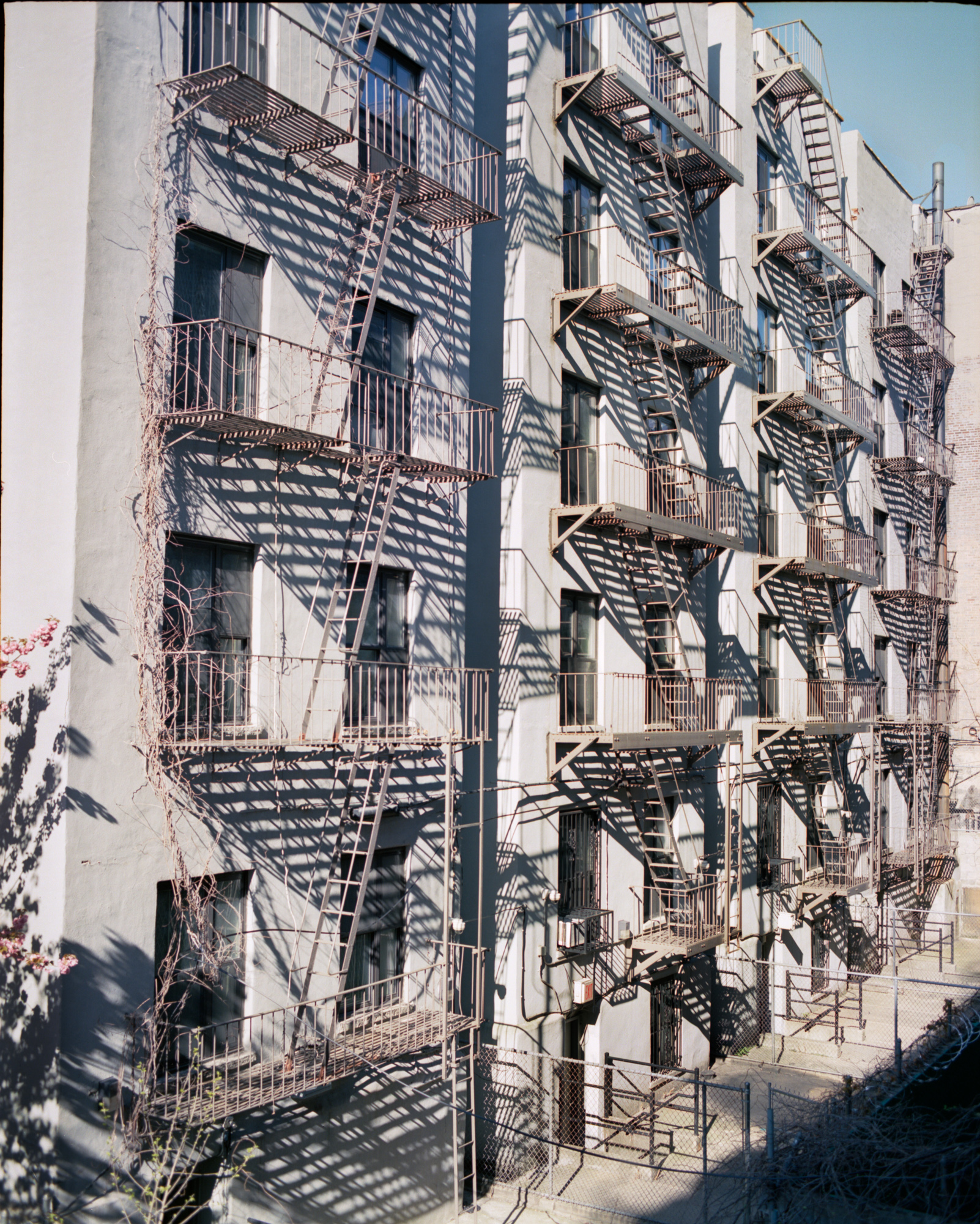 An iconic detail of urban life, fire escapes were mandated in New York City from the 1860s to the 1960s.