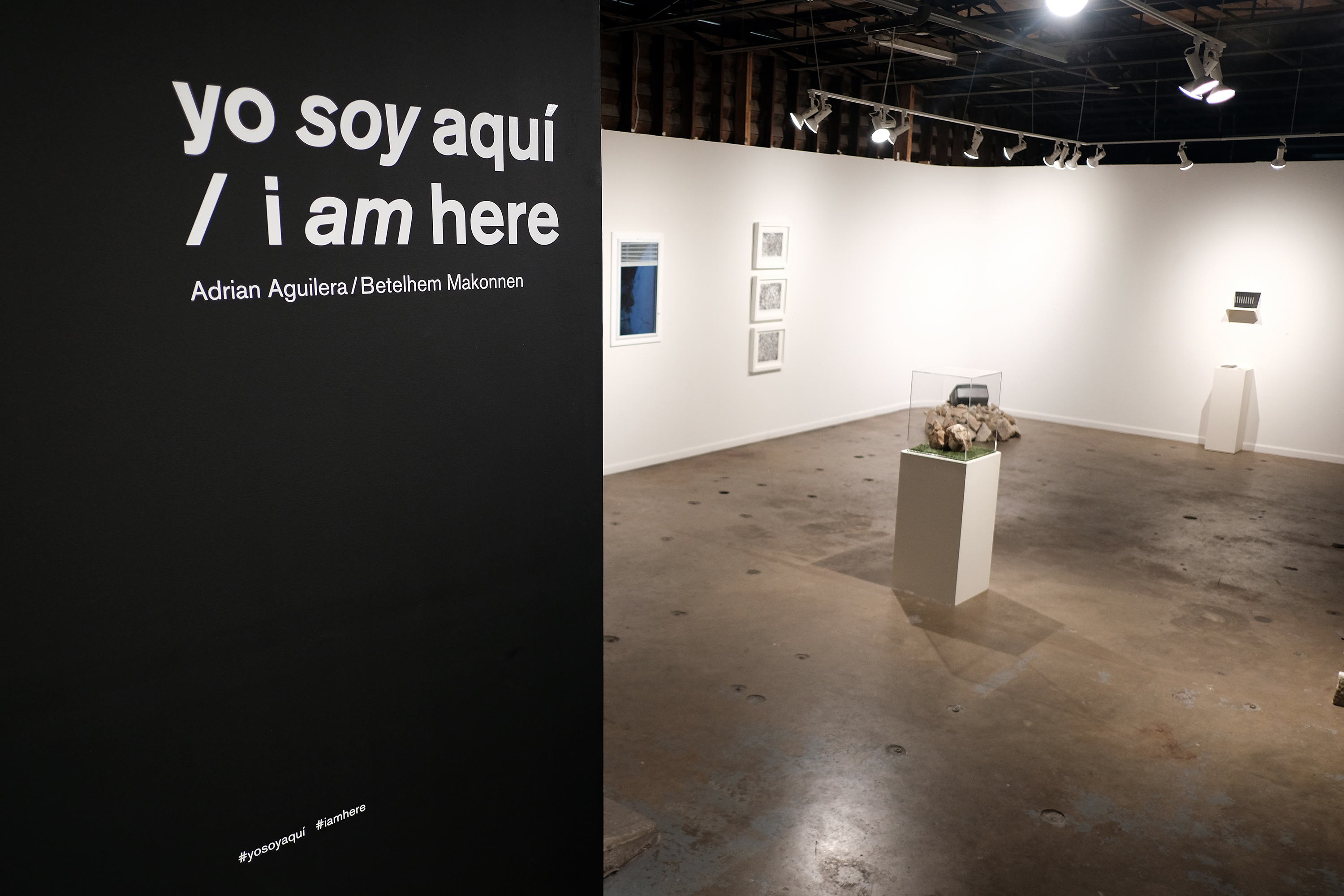 yo soy aquí exhibition installation image. Photo credit: Erica Robert Pallo