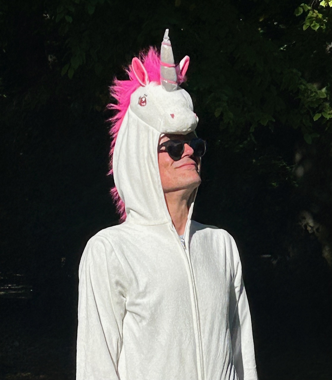 unicorn, studio speciale