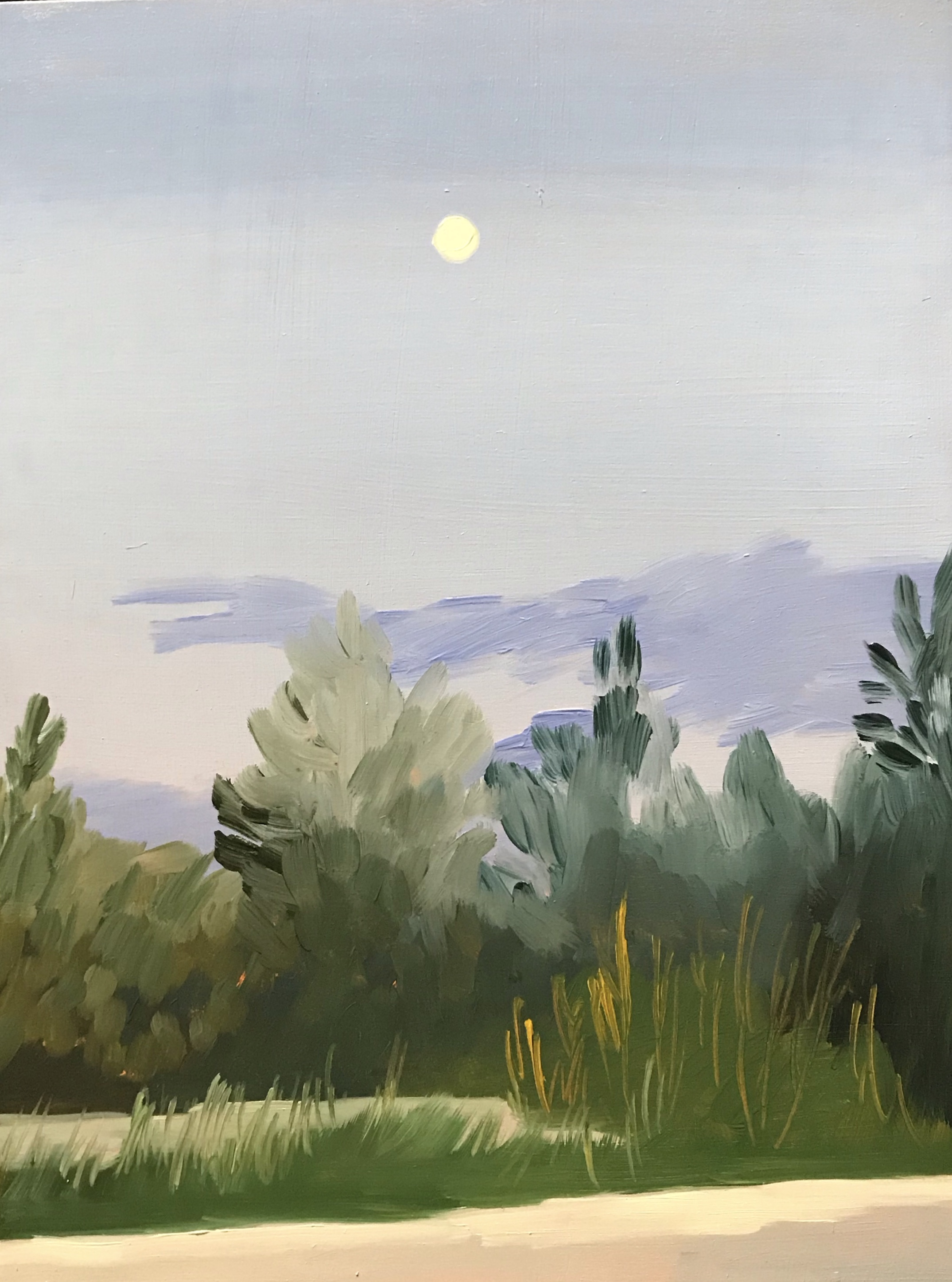 Dusk at Iona Oil on board. 8x10. 2019