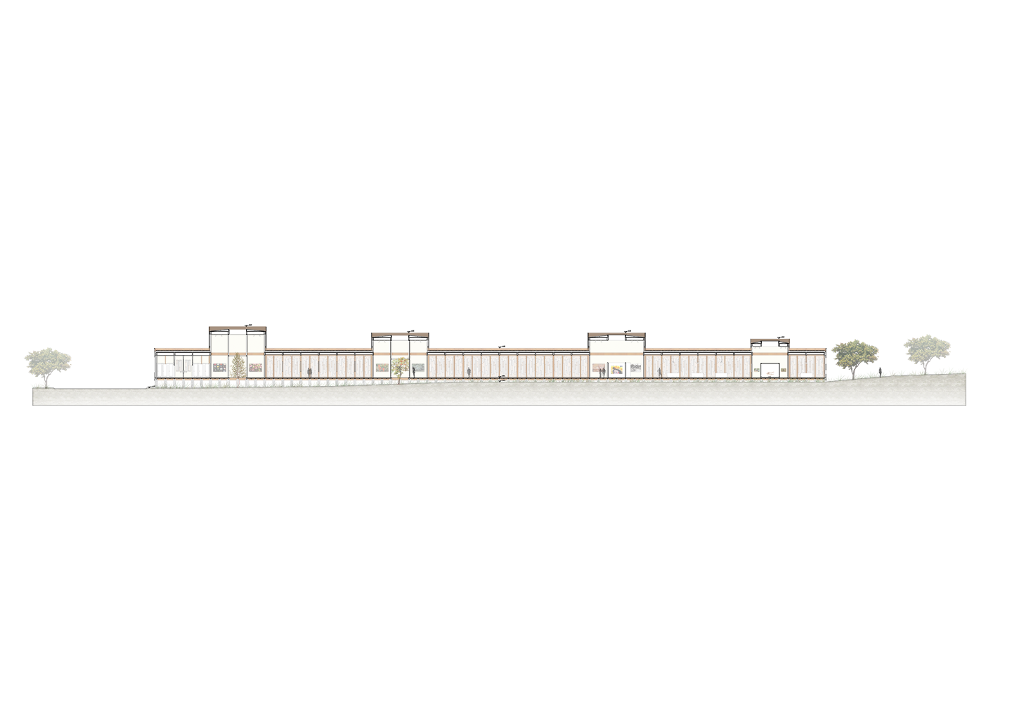 Mata Atlântica Museum Section