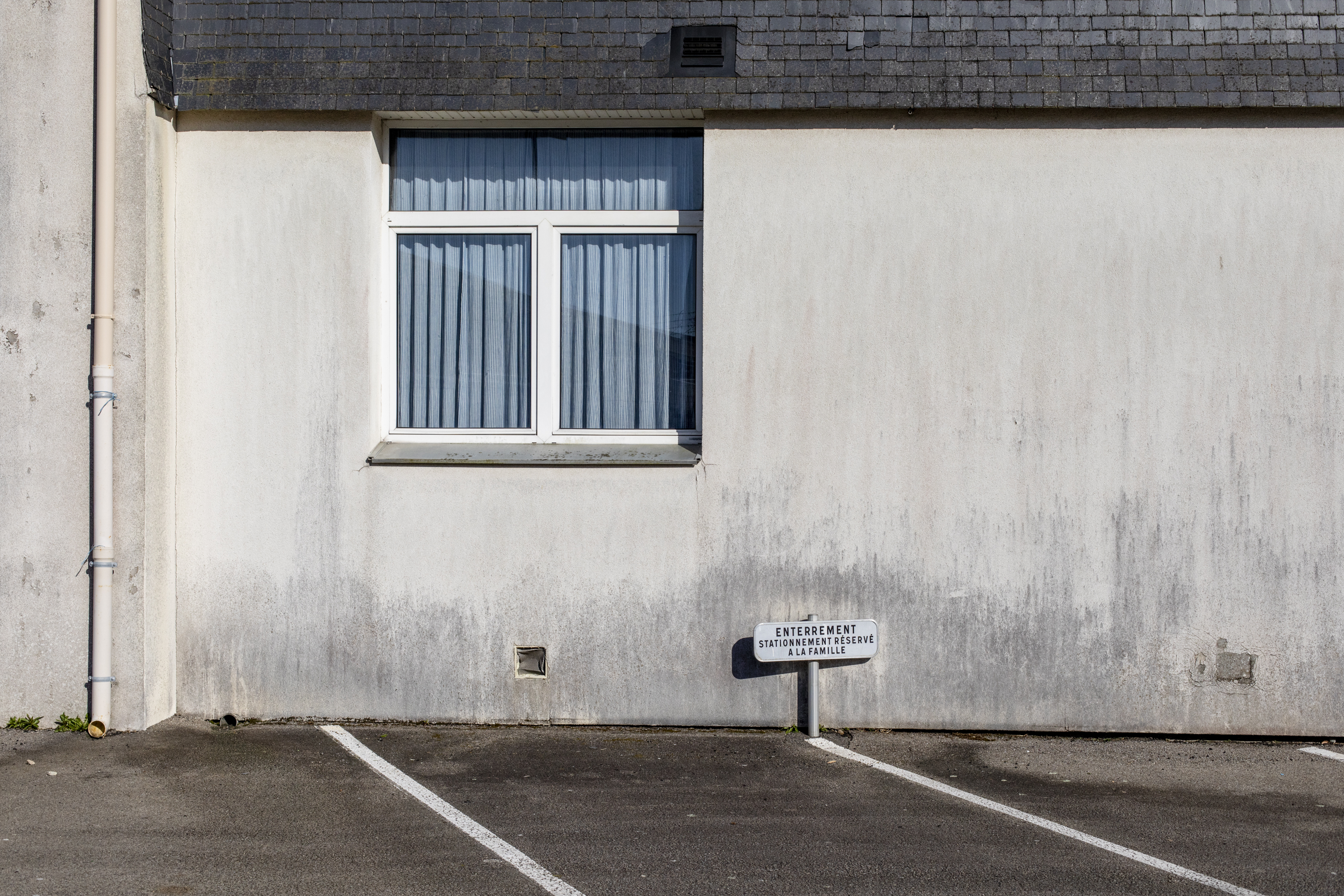 julien cregut-Lost Dogs-©juliencregut