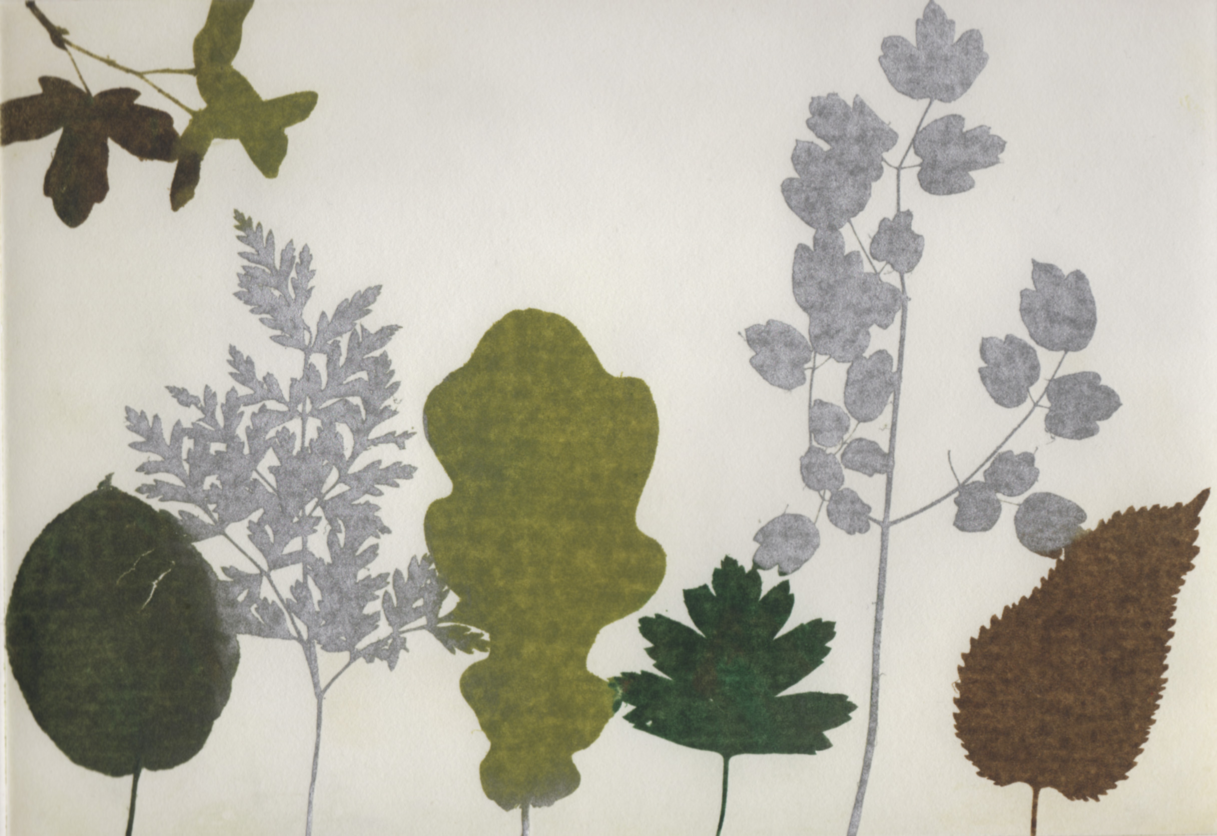 Around the meadow II