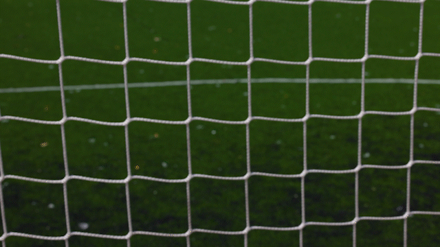 PhotoShelter AI Series