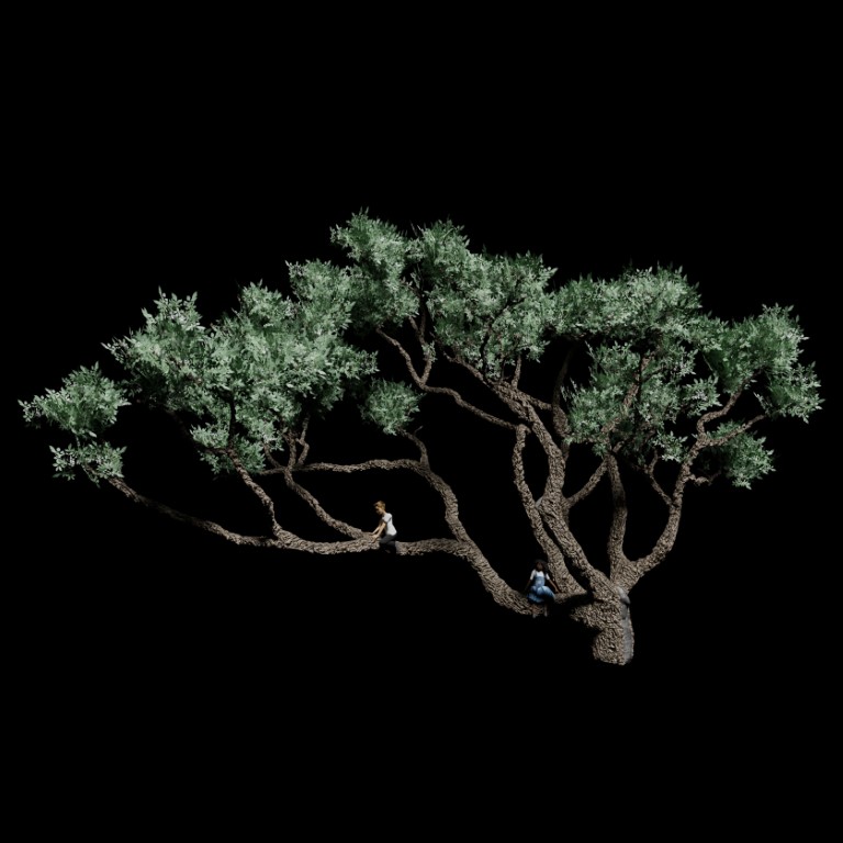 Reconstructed cork tree.