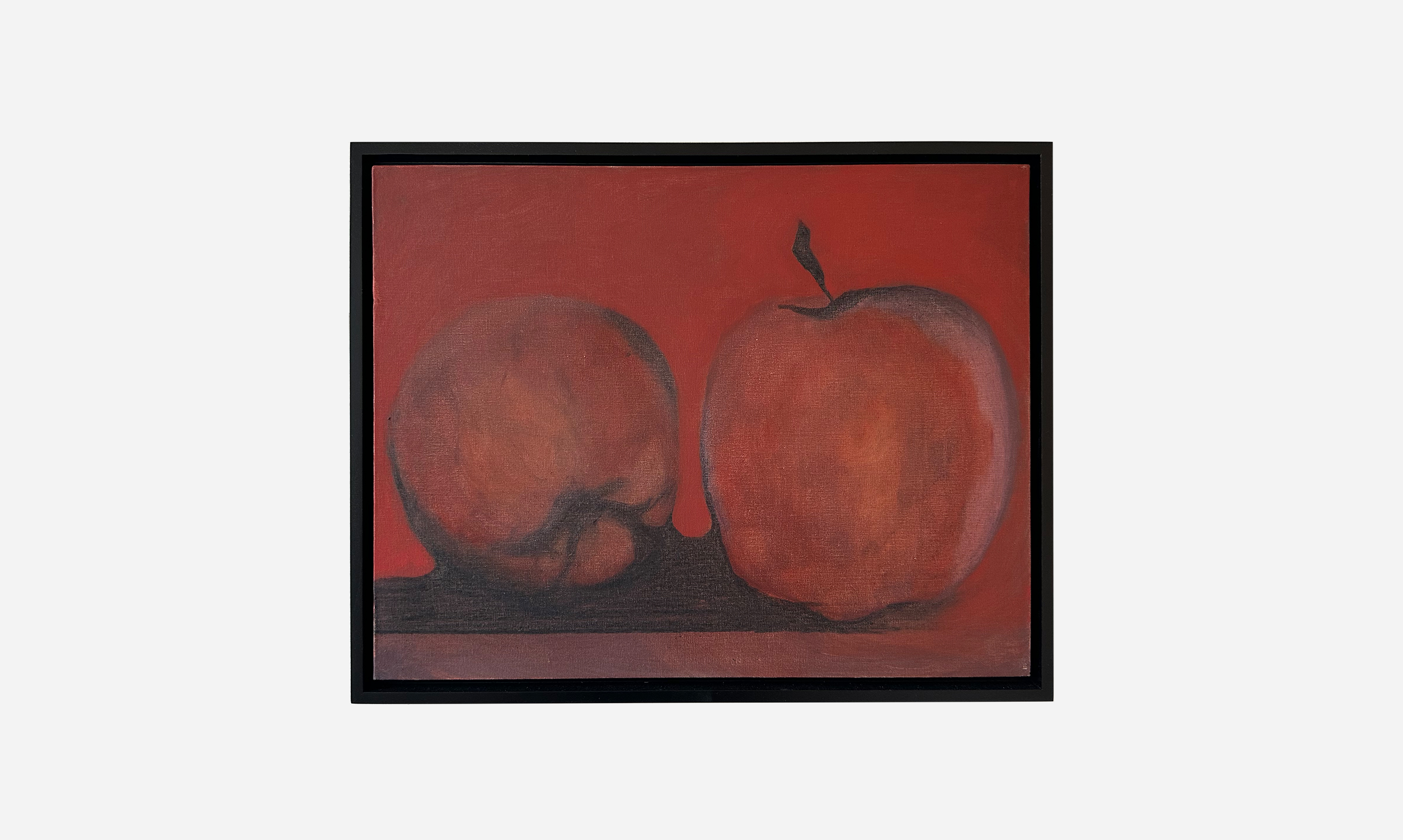 Two Apples, oil and charcoal on canvas panel, 11 x 24 inches, 2024