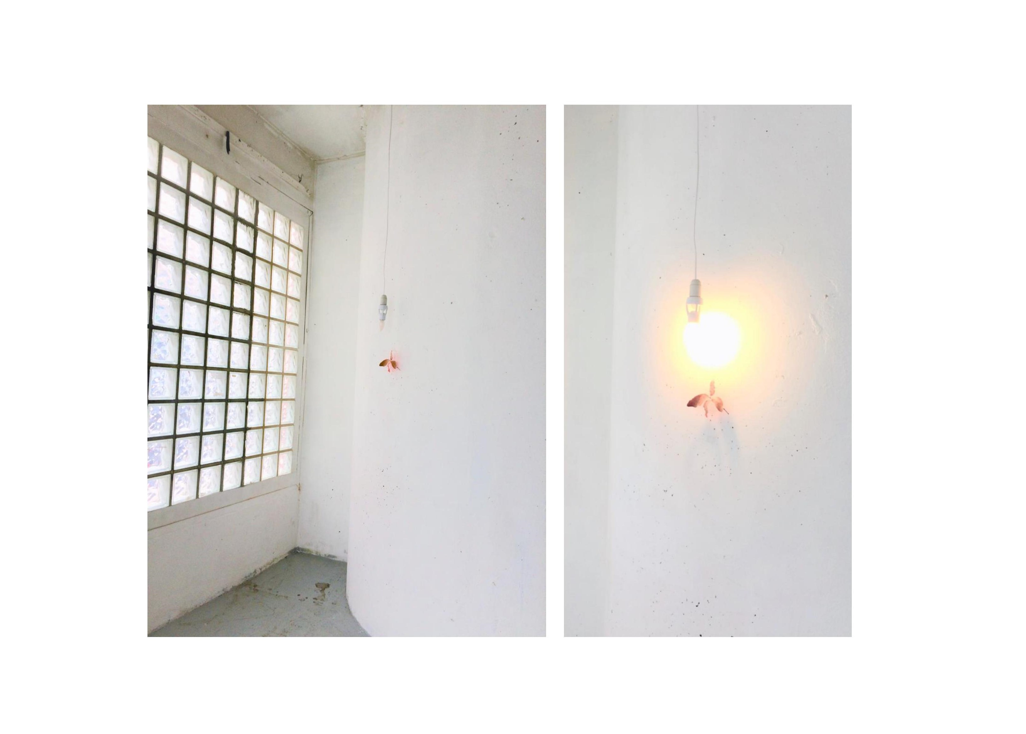 Ching Lan Chang, N&eacute;cromancie 