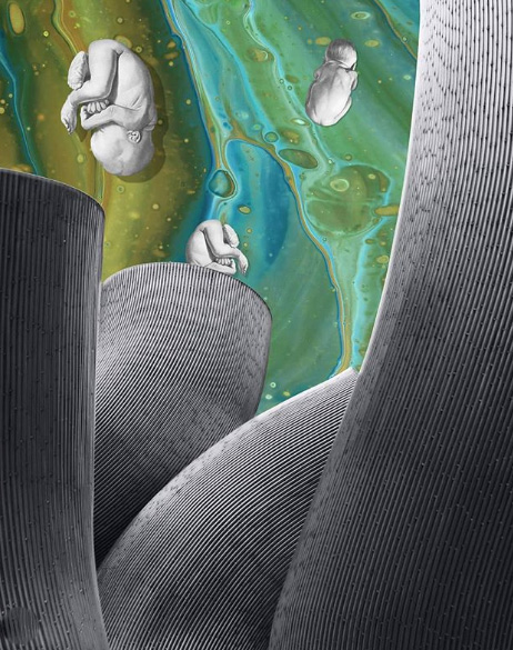 Regina Lafay Bellamy