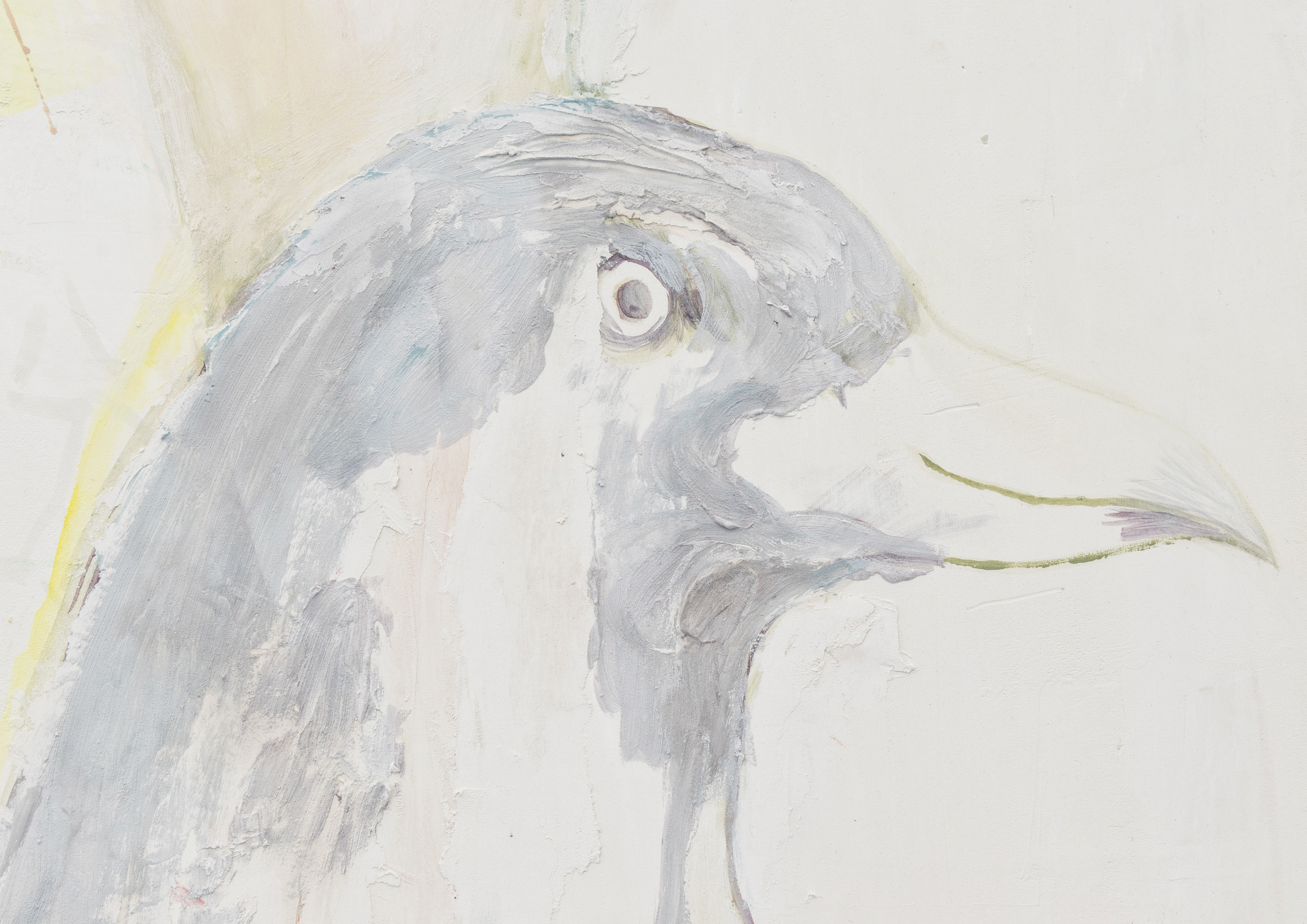 coming of age (pigeon), 2022, detail