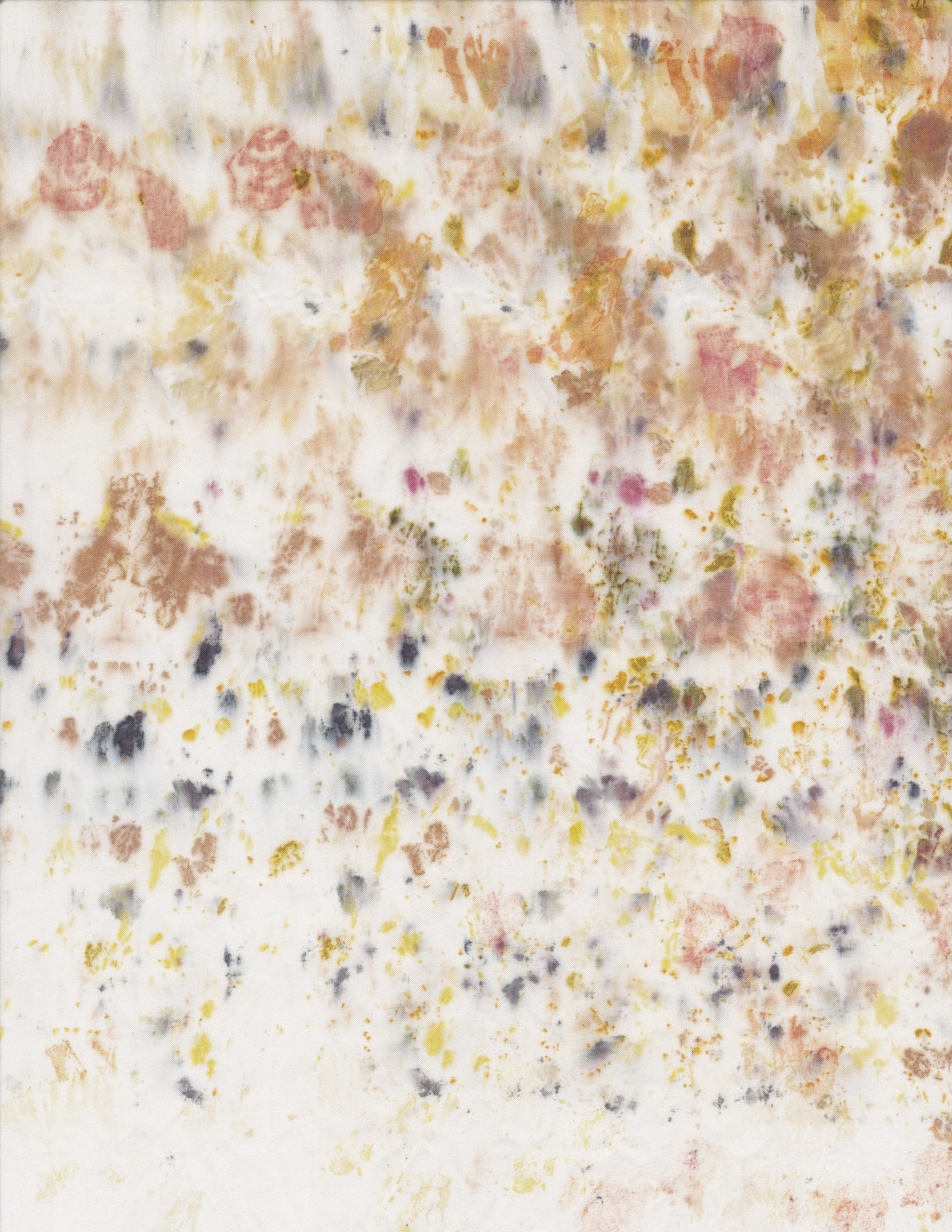 Sumac, onion, eucalyptus and goldenrod on silk. 2022.