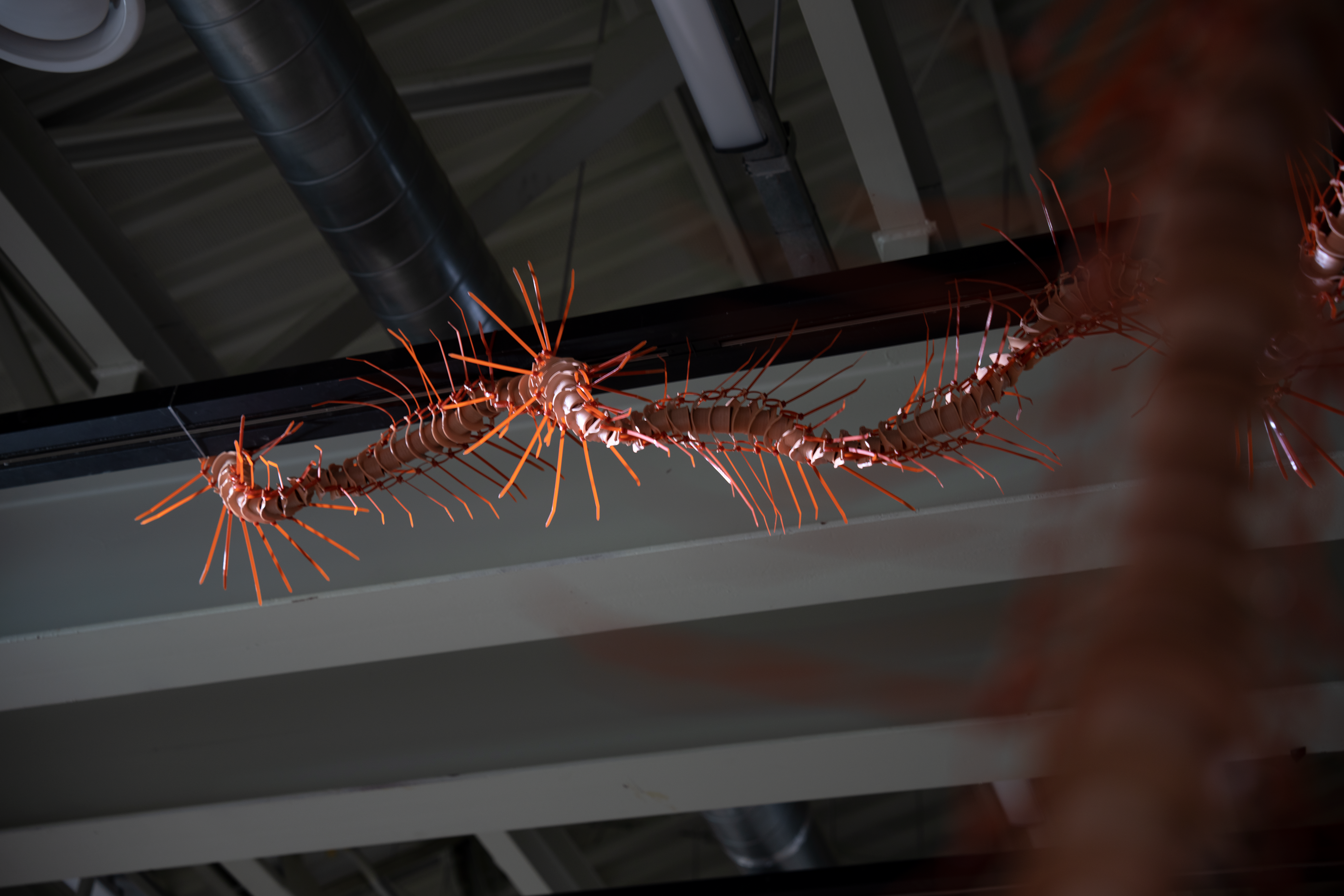 Lacūna@A Missing Part