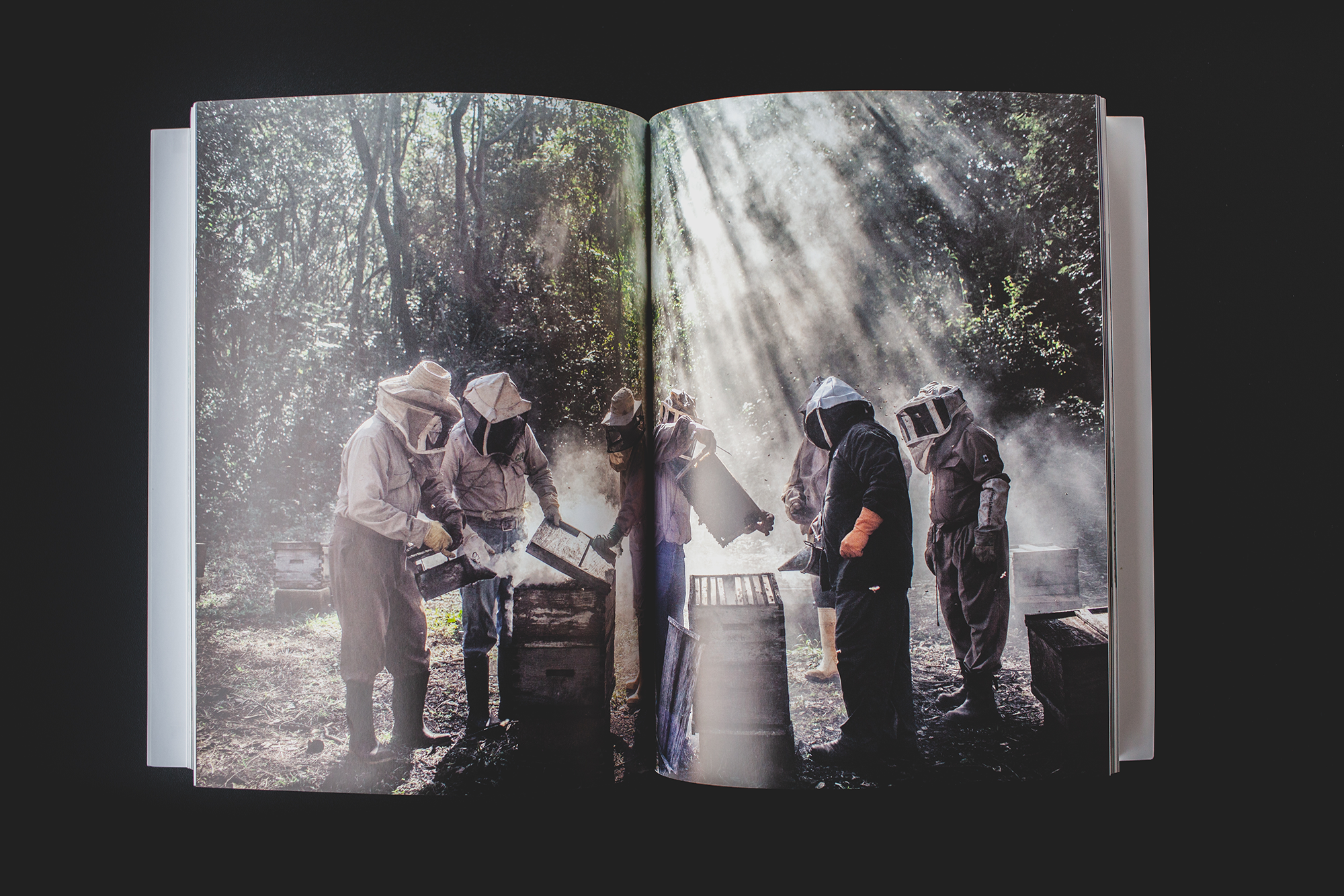 God’s Honey, by Nadia Shira Cohen. 2019 Photo Contest, Environment, 2nd Prize.