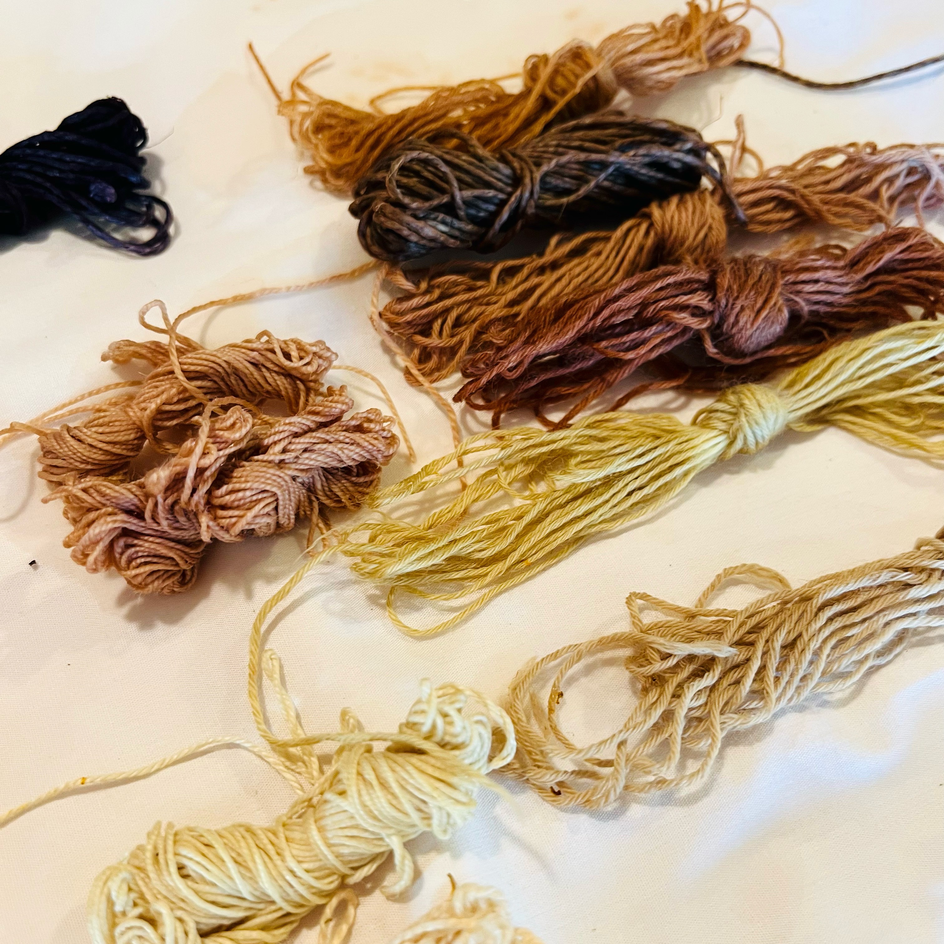 Kakishibu, Calendula, Madrone, Logwood, and Avocado dyed threads for The Map