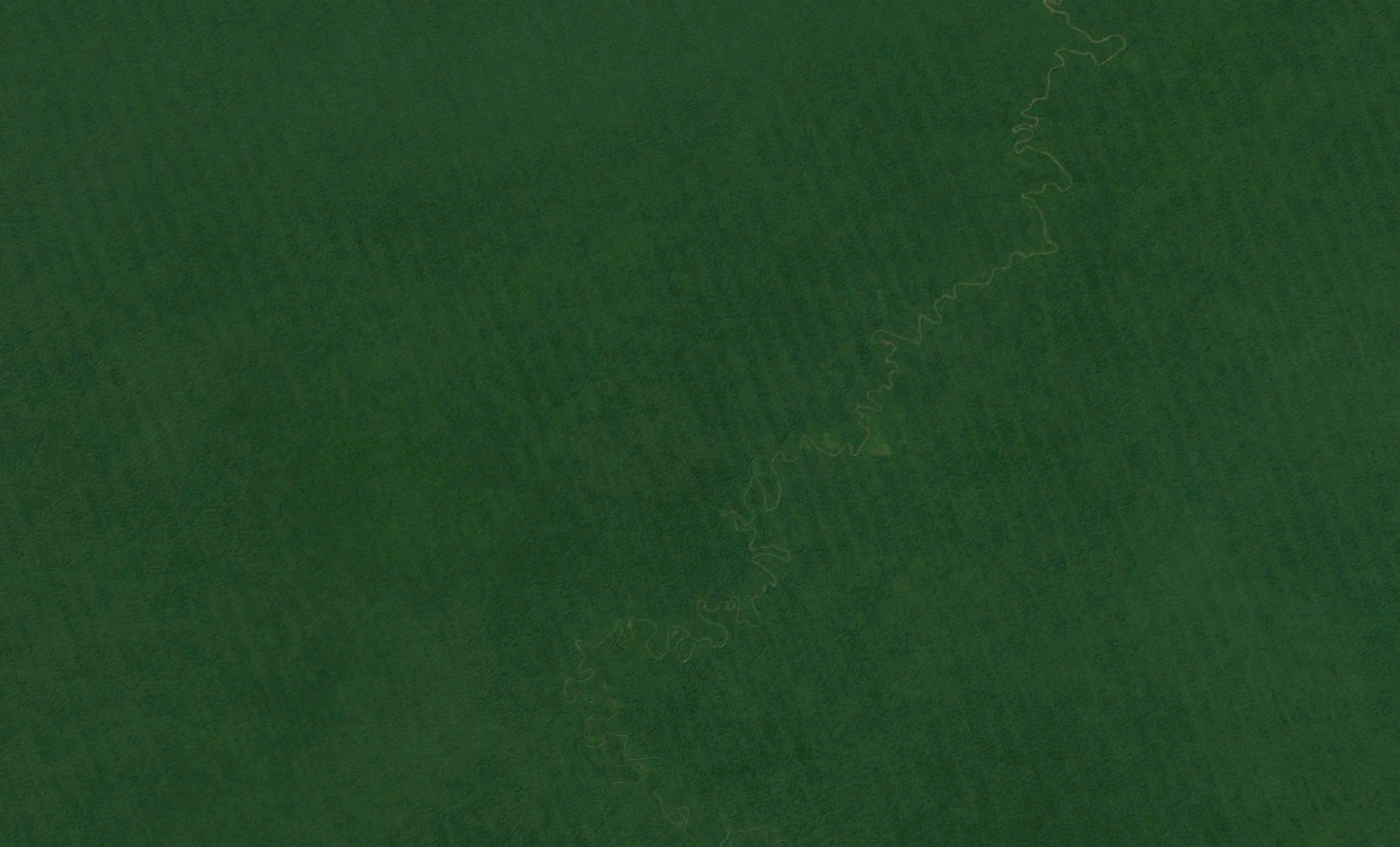 If a tree falls in a forest and there is no one around to hear it, does it make a sound?, 2019