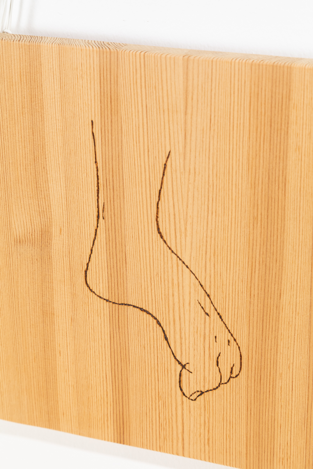 Ape from Durations - Minna Pollänën