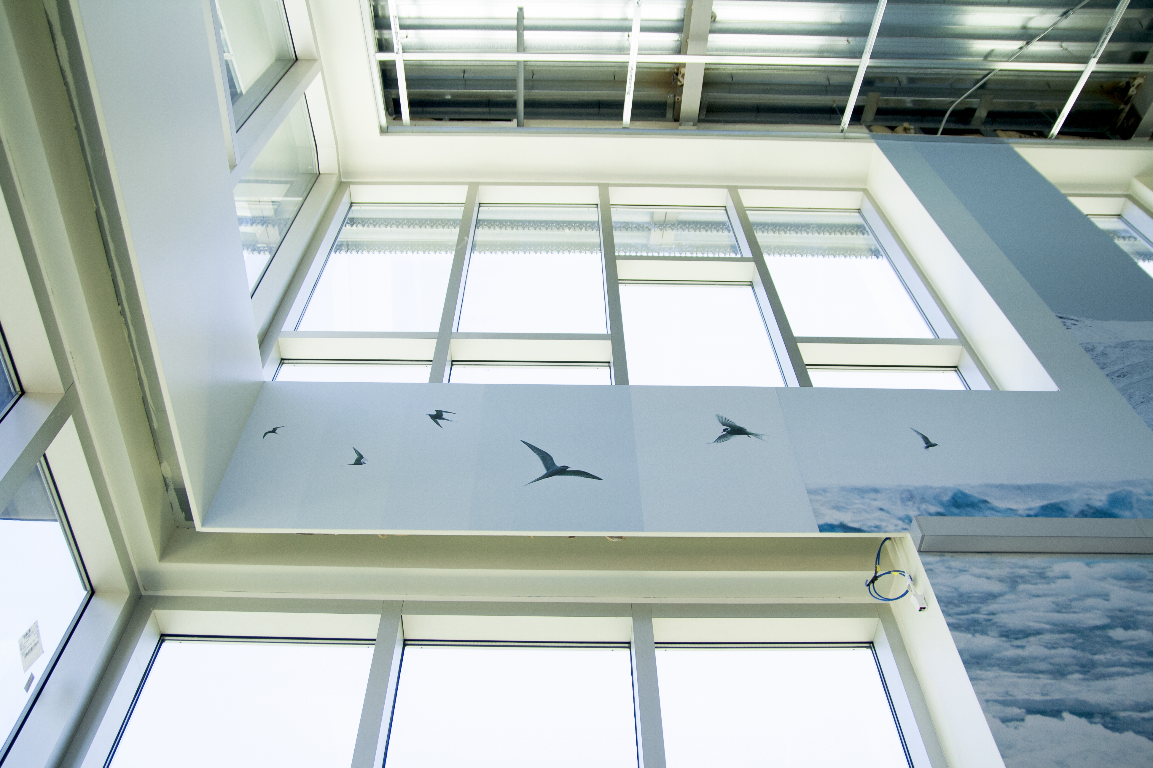 CircumSolar, Migration 2, 2013. Public art at the Pico Rivera Public Library, commissioned by the Los Angeles Arts Commission. Mural. Fire retardant canvas and ink. 132 ft. long x 25 ft. high. ~1,250 sq. ft. approximately.