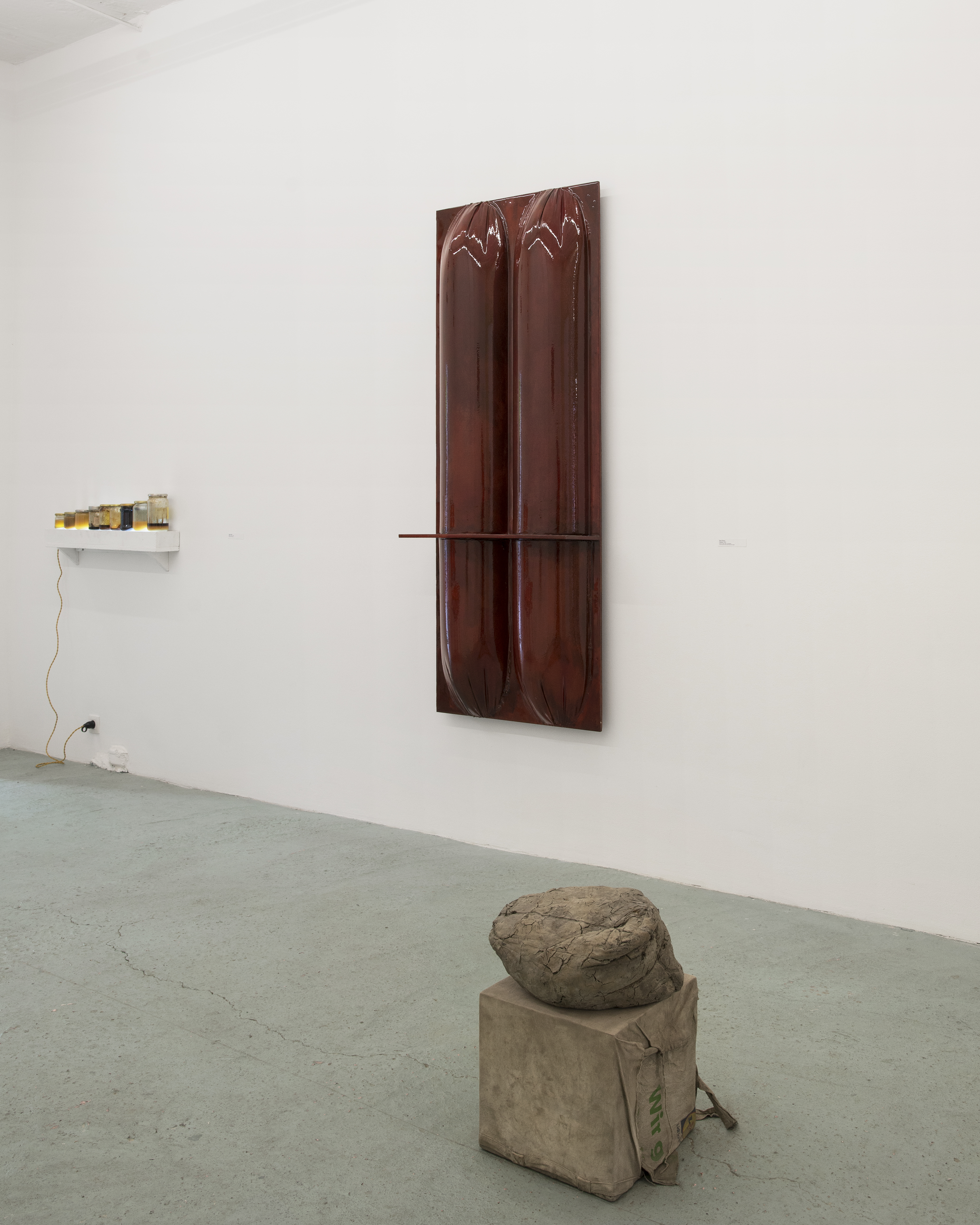 P|cture by Fabien Silvestre Suzor