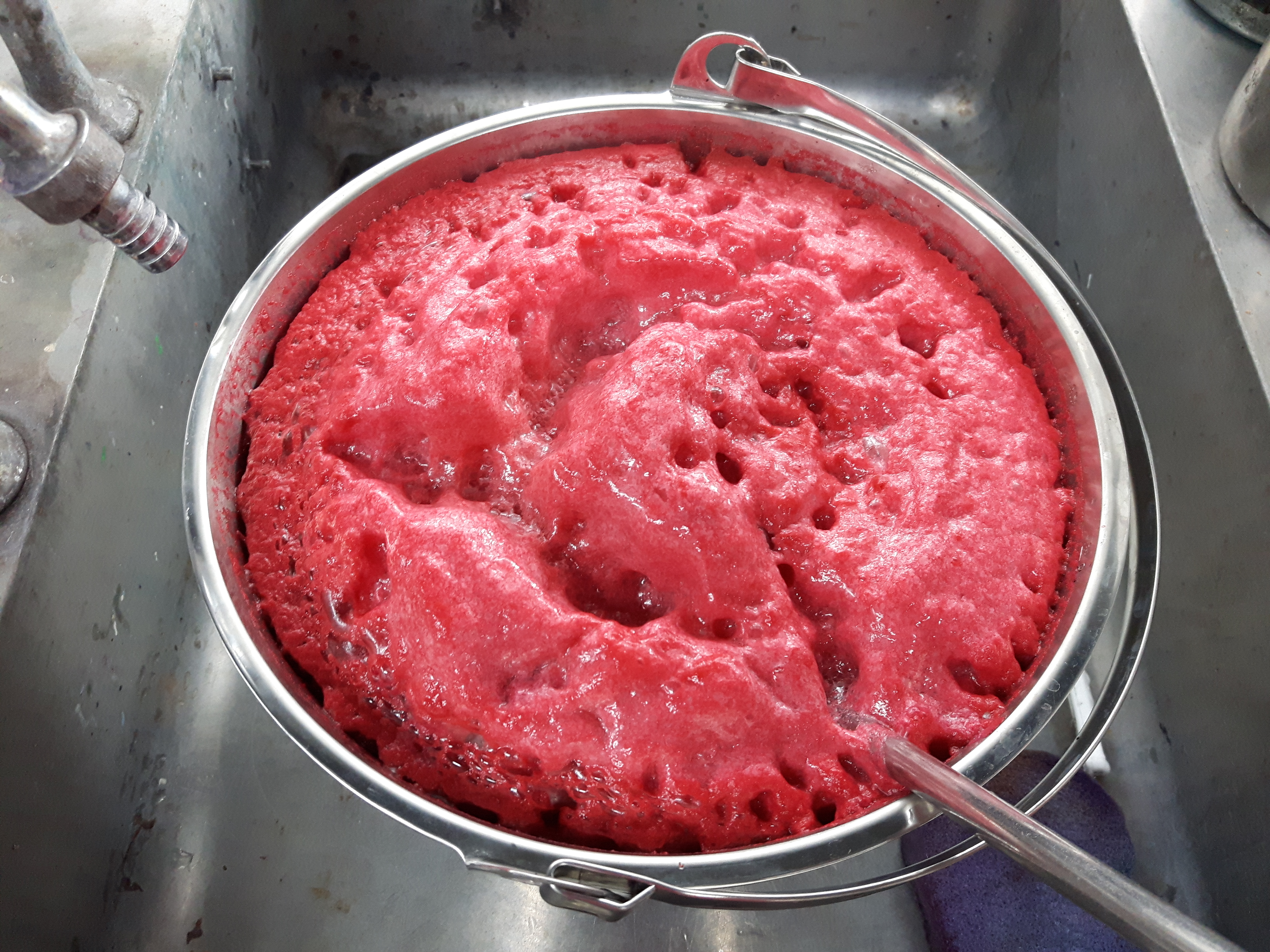 Madder pigment