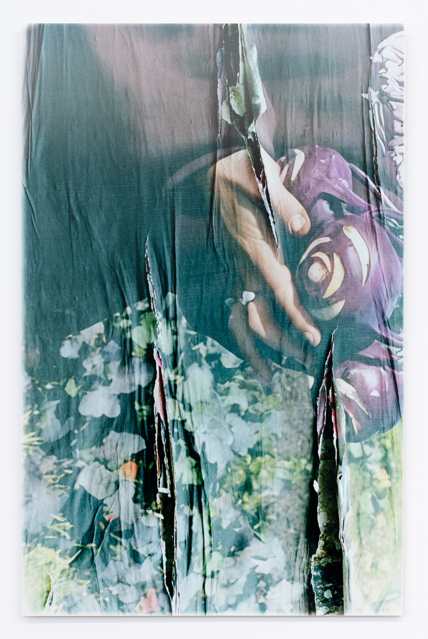 2025, Lygon Street, Brunswick, Australia, 2025, Hand printed chromogenic print on Dibond, water based ink, E 1/5 + 2 AP, 105 x 69 cm