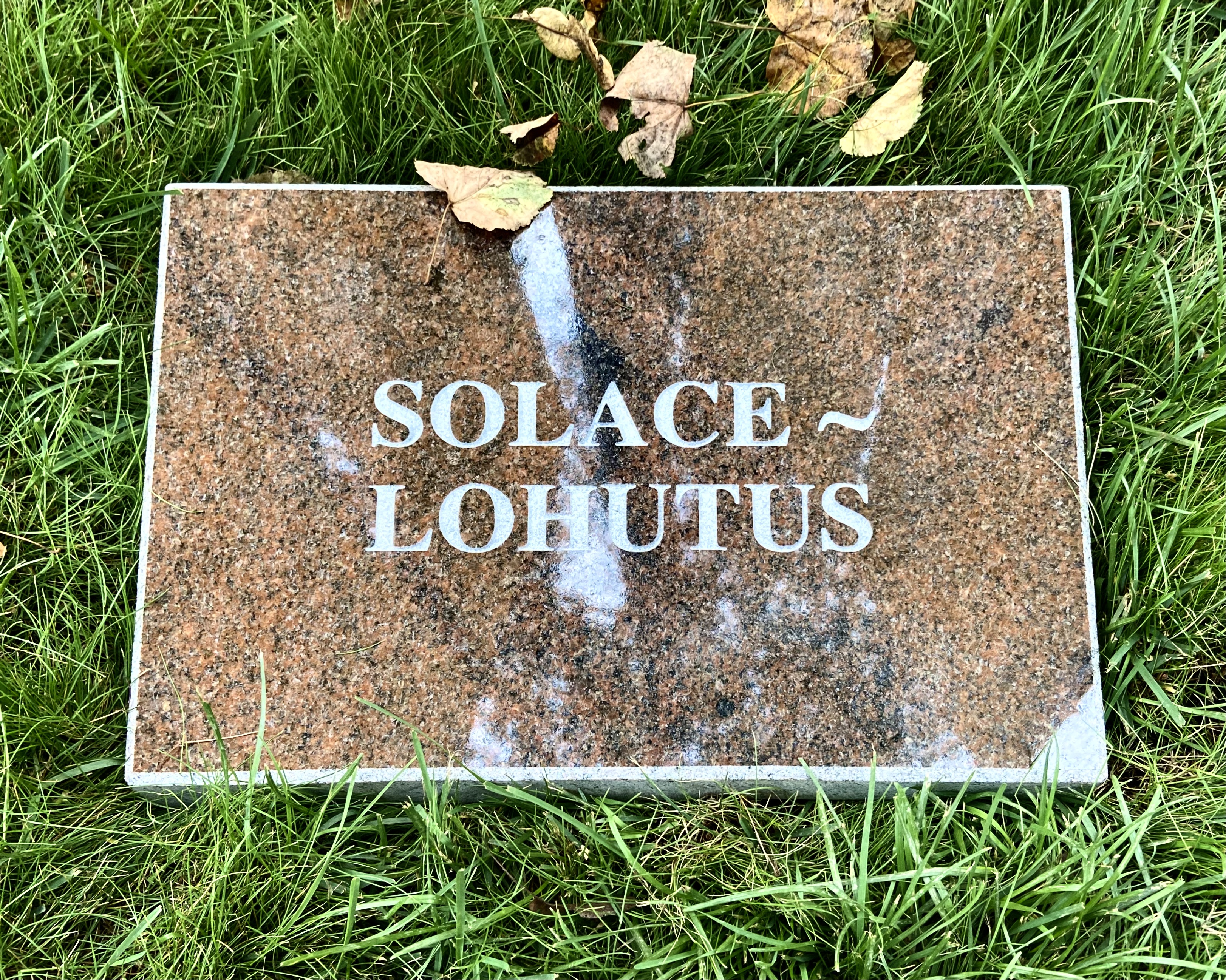 > Space for Solastalgia [2024]