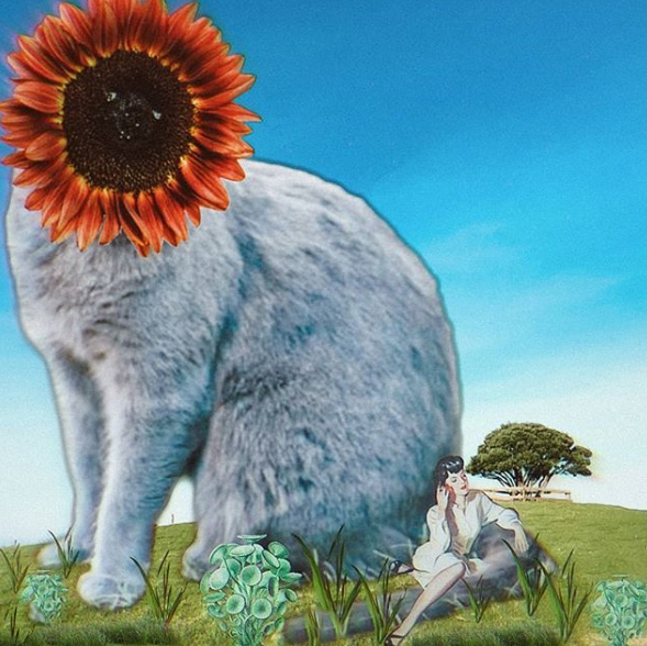 Federica Errante Calcomanías