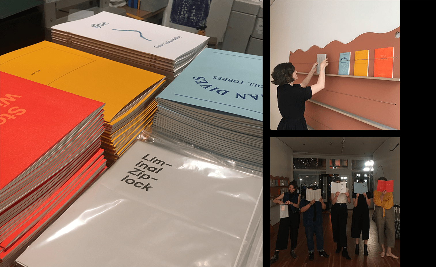 publications and publication launch, photo credit Erica Wilk