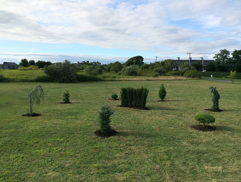 Conifer Petting Zoo and Puppet, Hayground School Theatre Bridghampton, NY