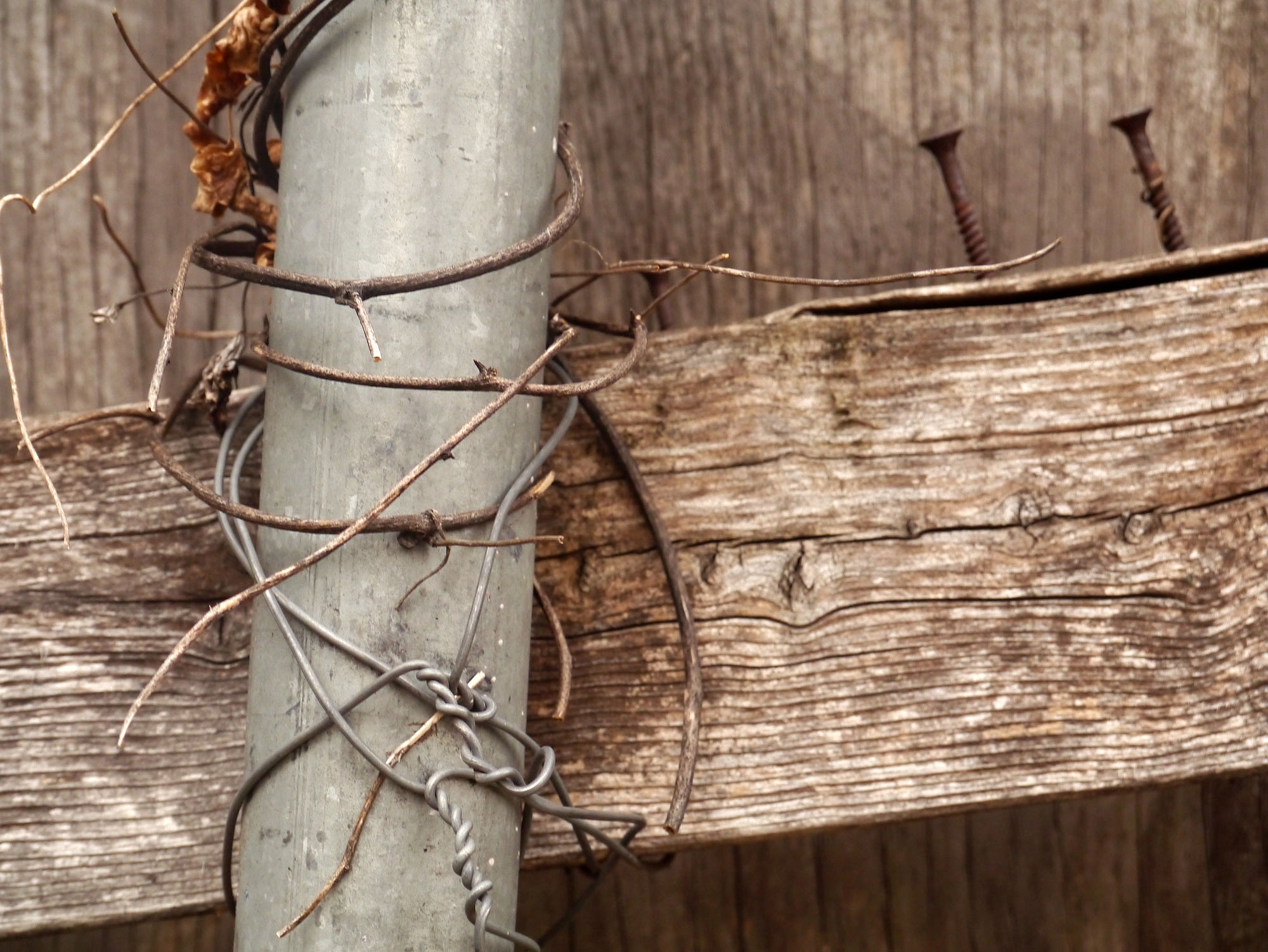 The accumulation of vestiges builds character