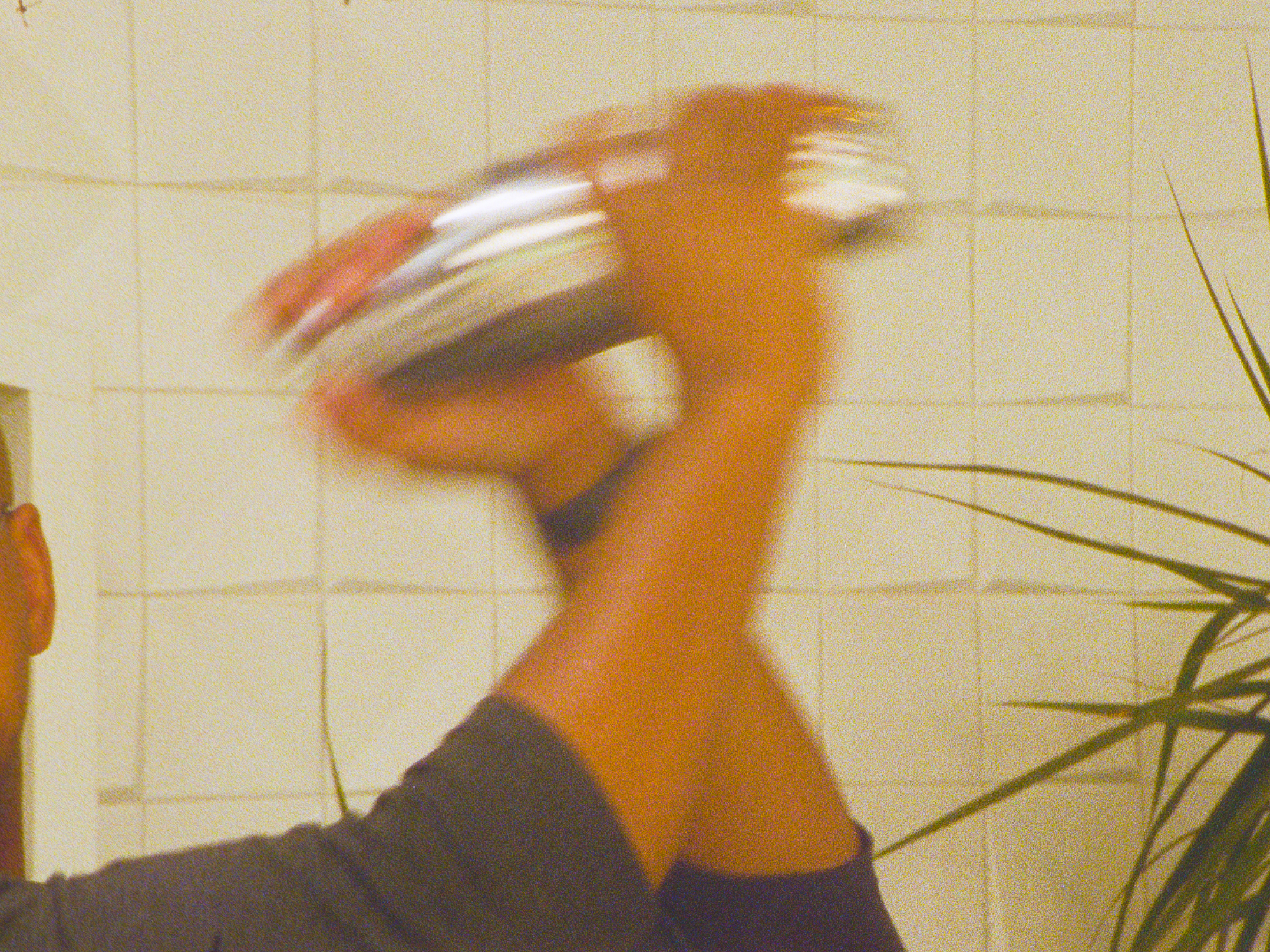 Planta Promotional Video