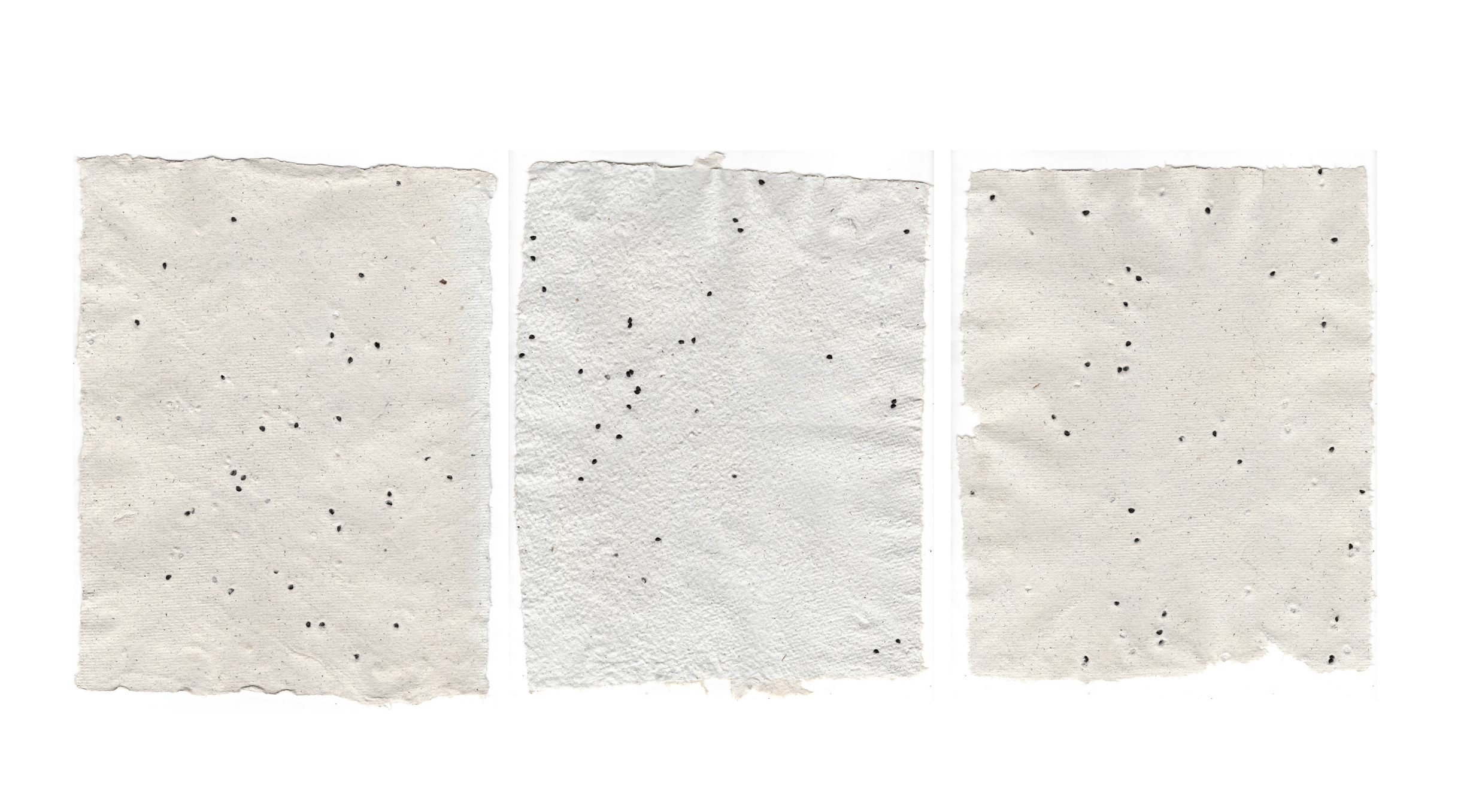 Hand made recycled paper made from used sheets of paper and embedded with scallion seeds...created by me!