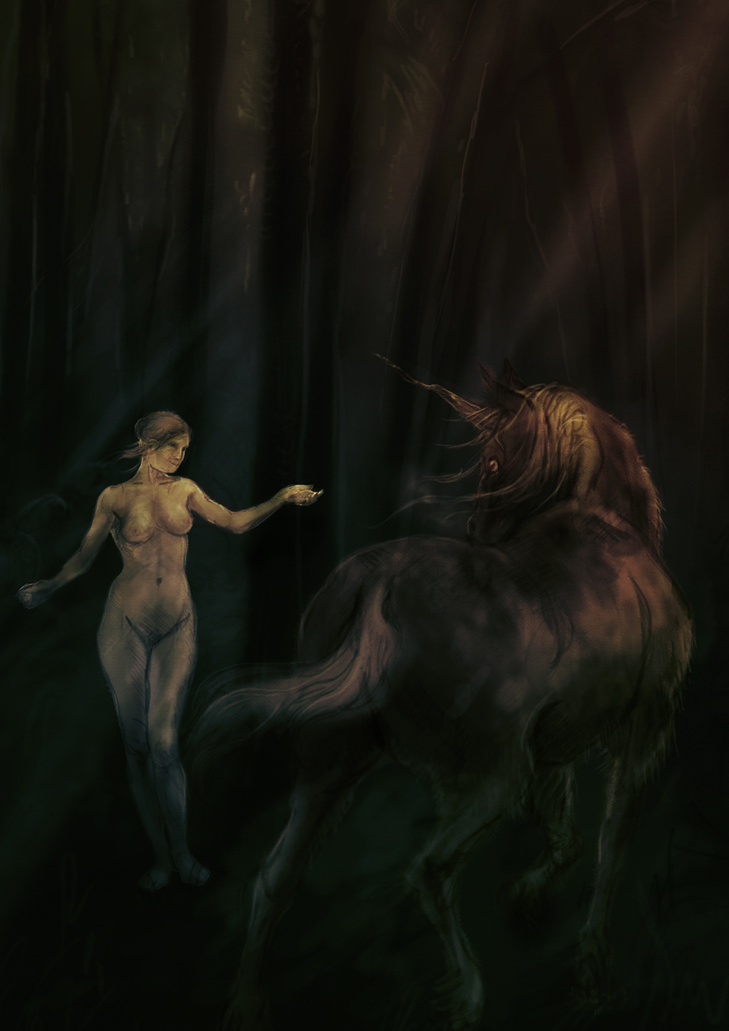 SILENCE IN THE FOREST / 2019