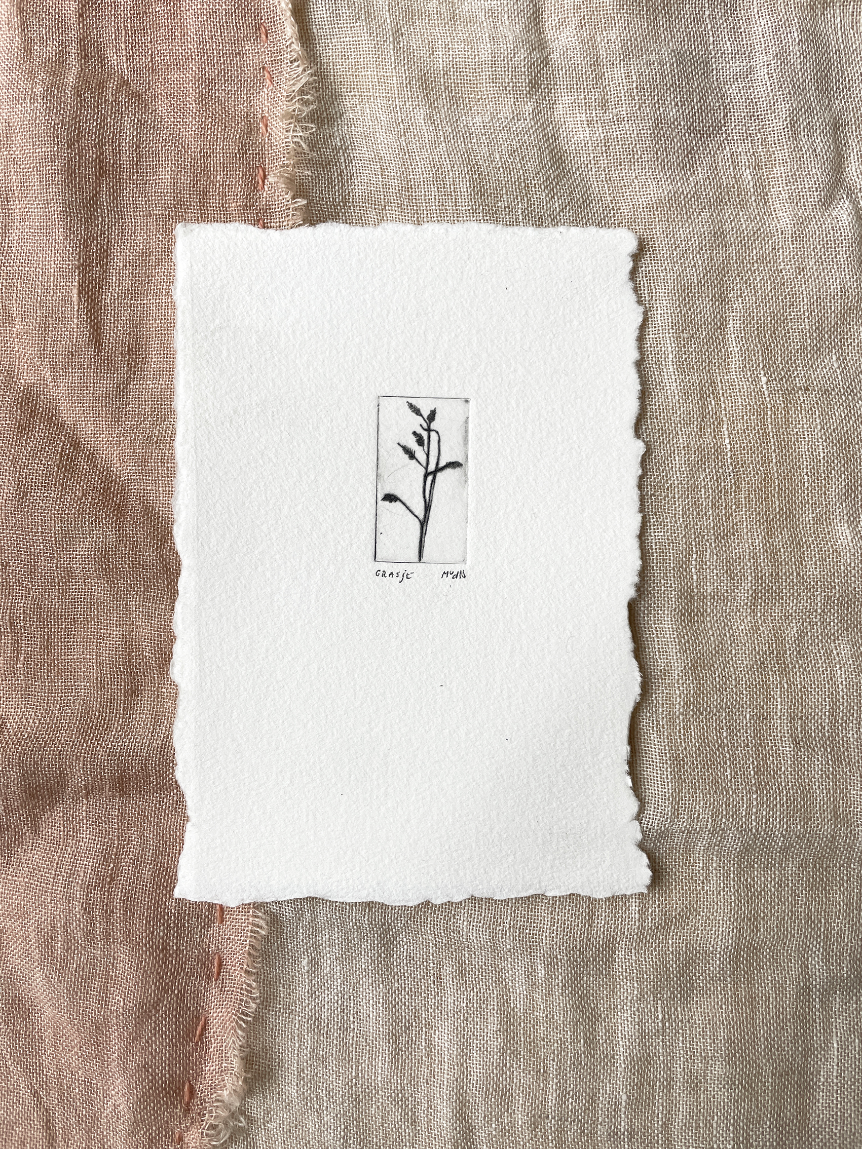 ets 'grasje' / Maartje - 35,-