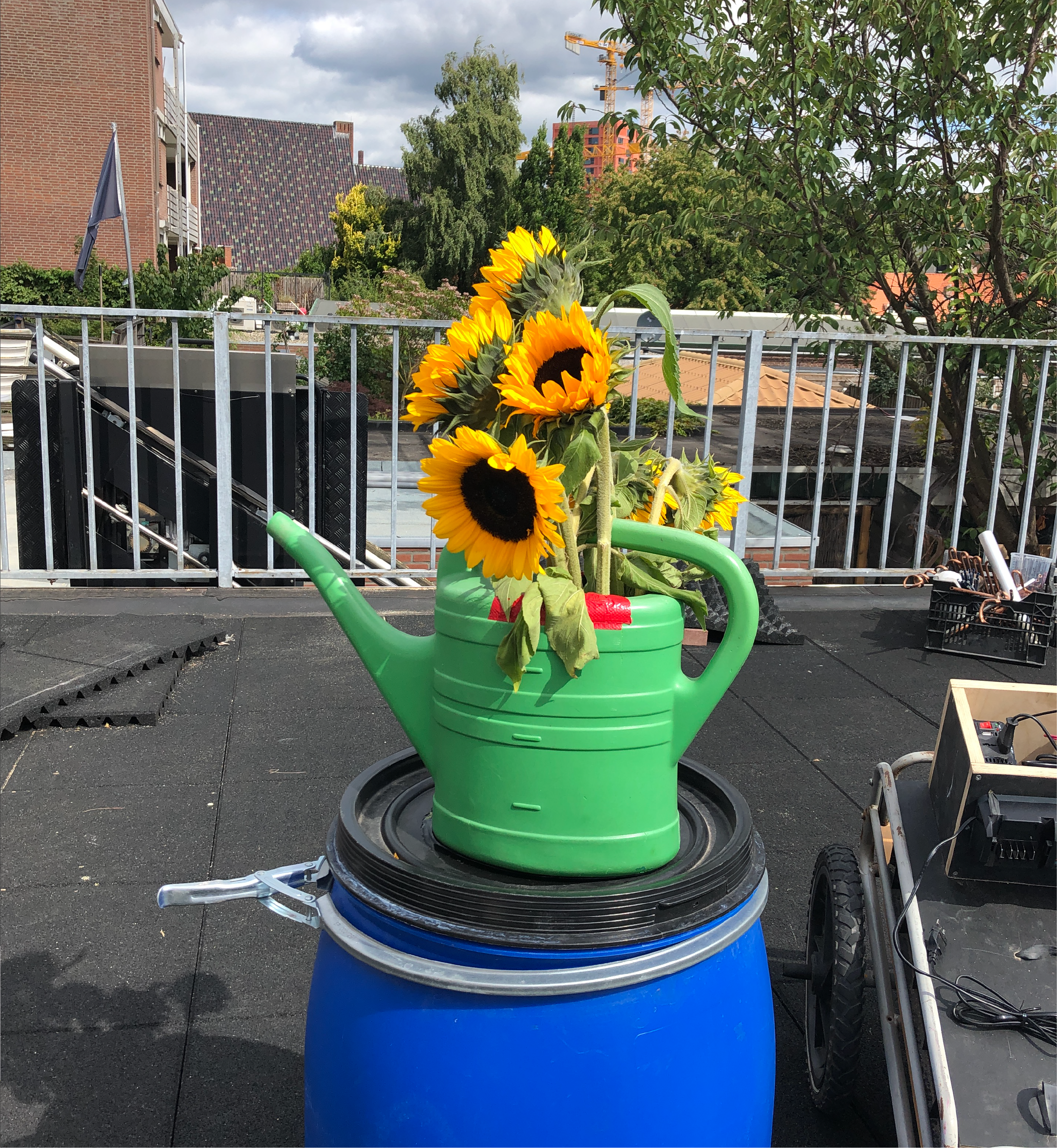 Flower vase/Watering can
